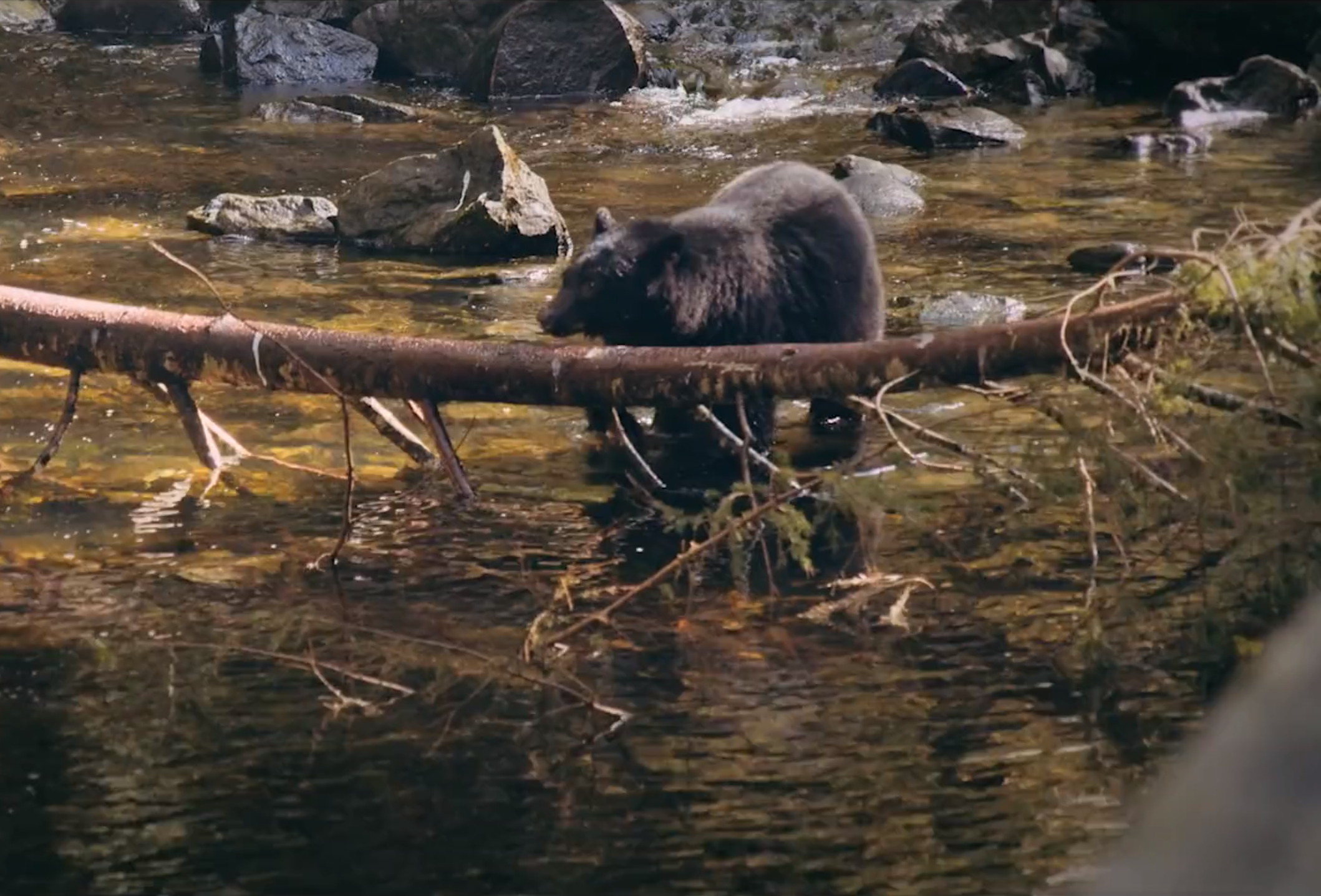 Screen Shot 2023-04-05 at 9.48.07 PM.png