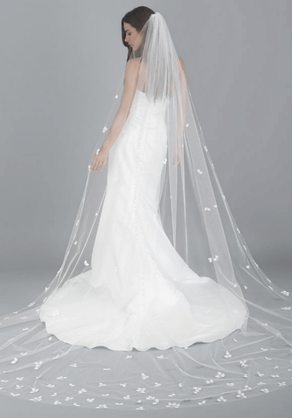 Screenshot 2026-02-04 at 3.14.49 PM.png