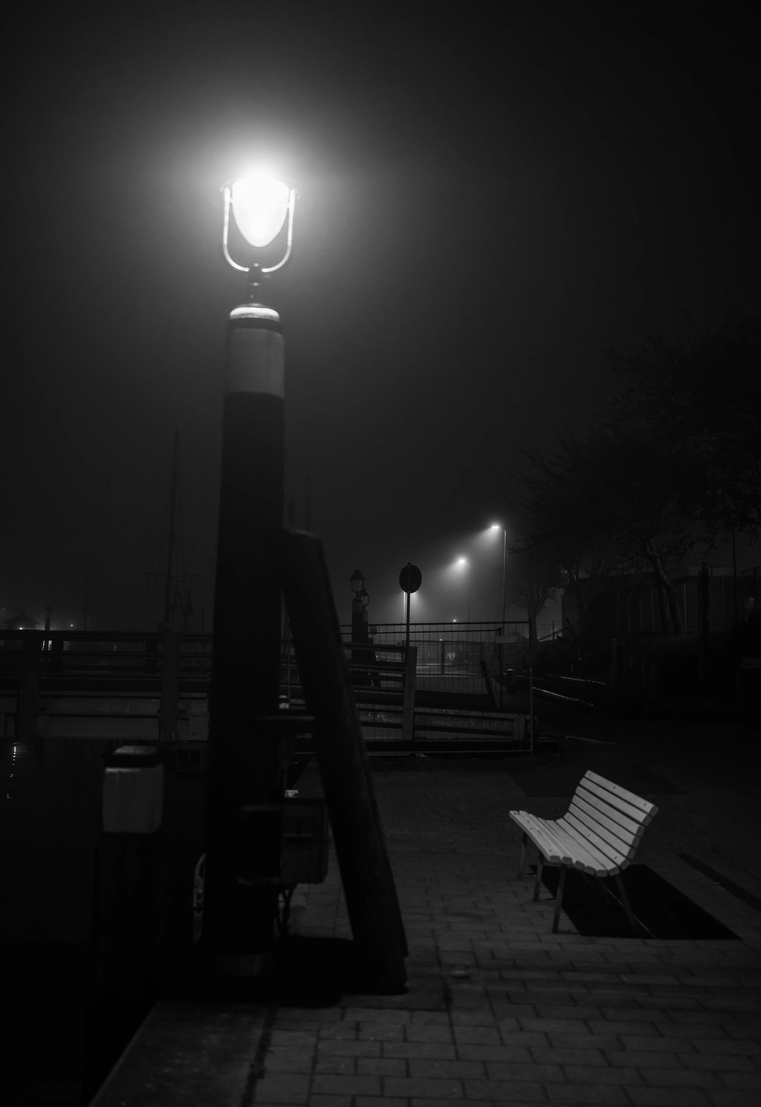 IMG_1428.jpeg