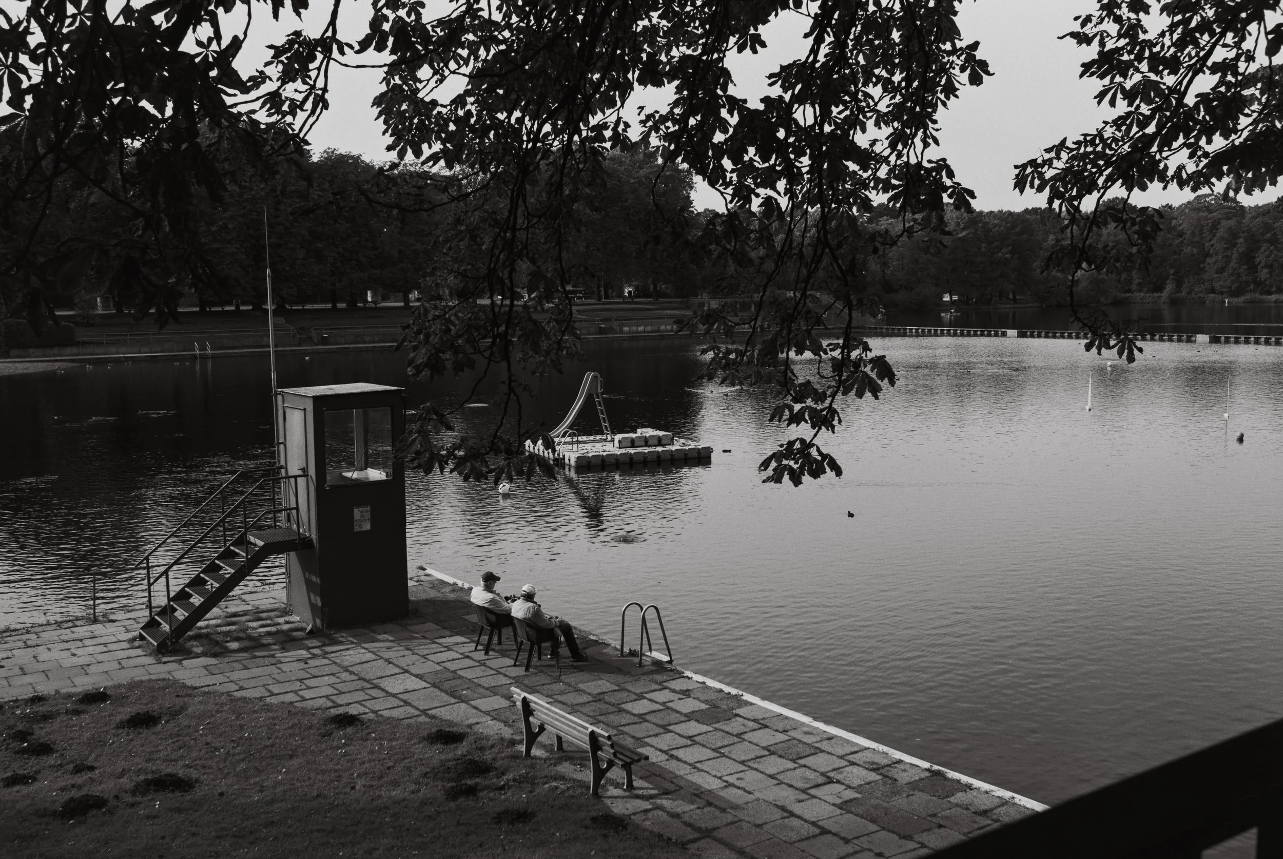DSC00715.jpeg