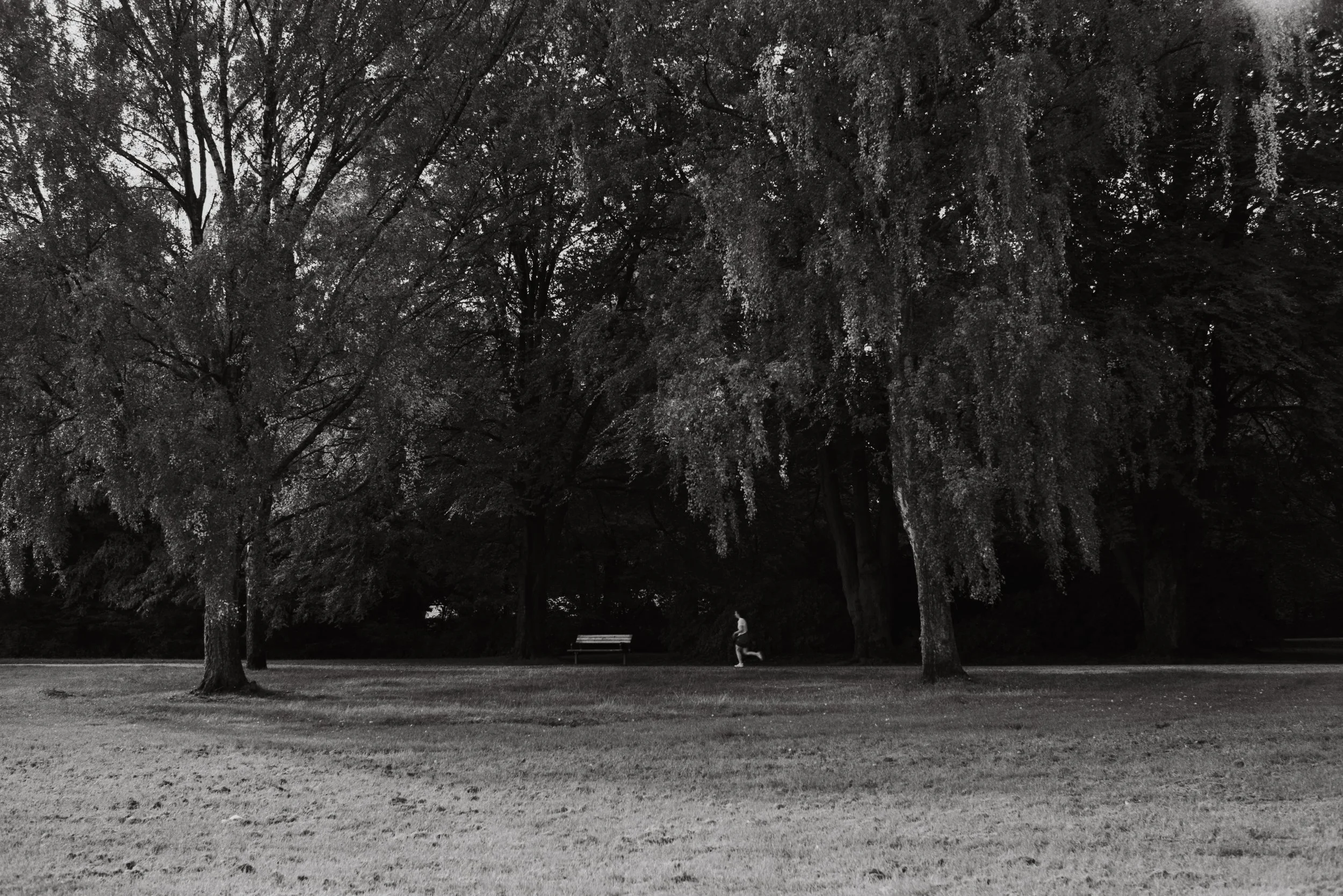DSC00709.jpeg