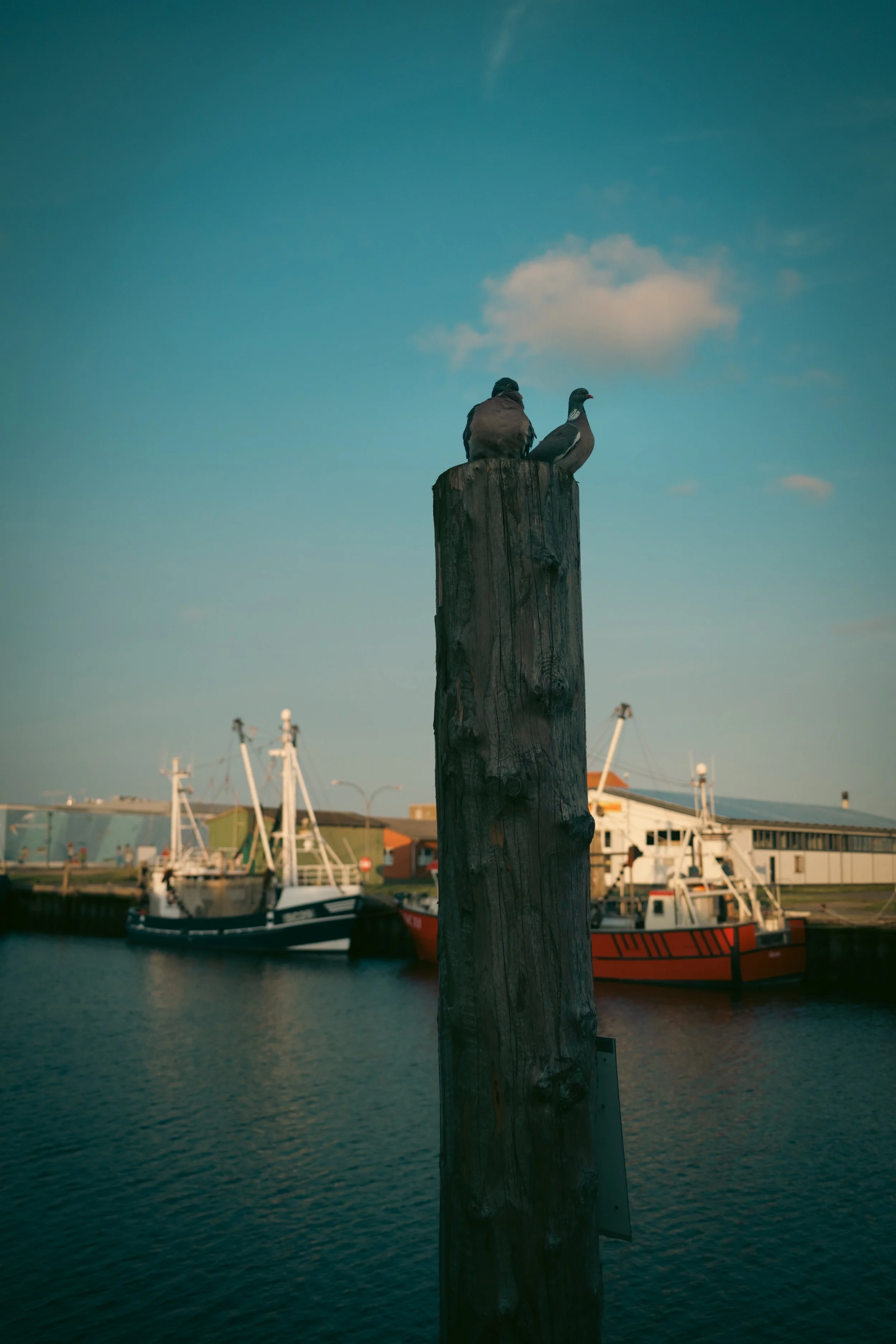 IMG_0616.jpeg