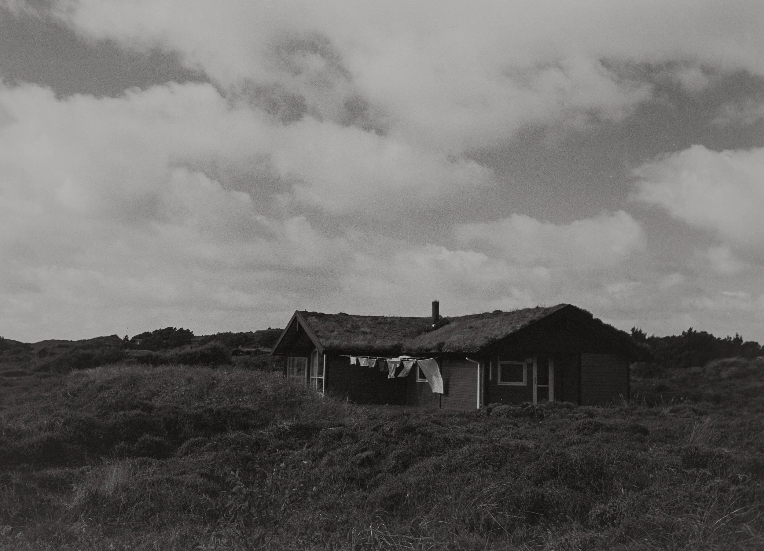 DSC00391.jpeg