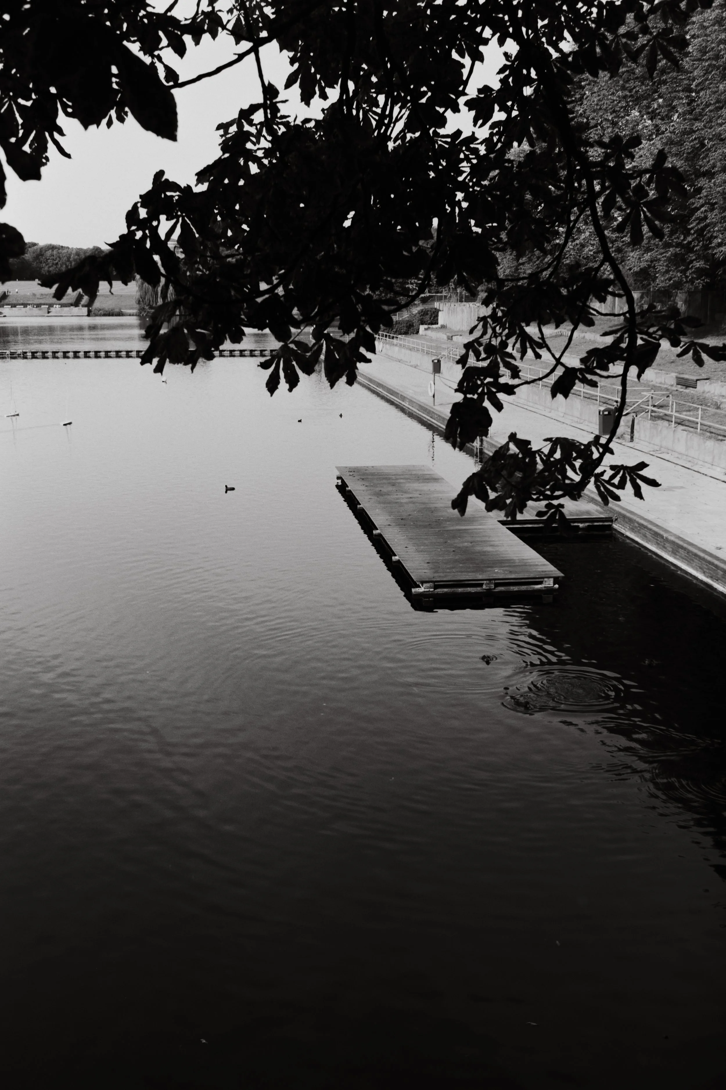 DSC00716.jpeg