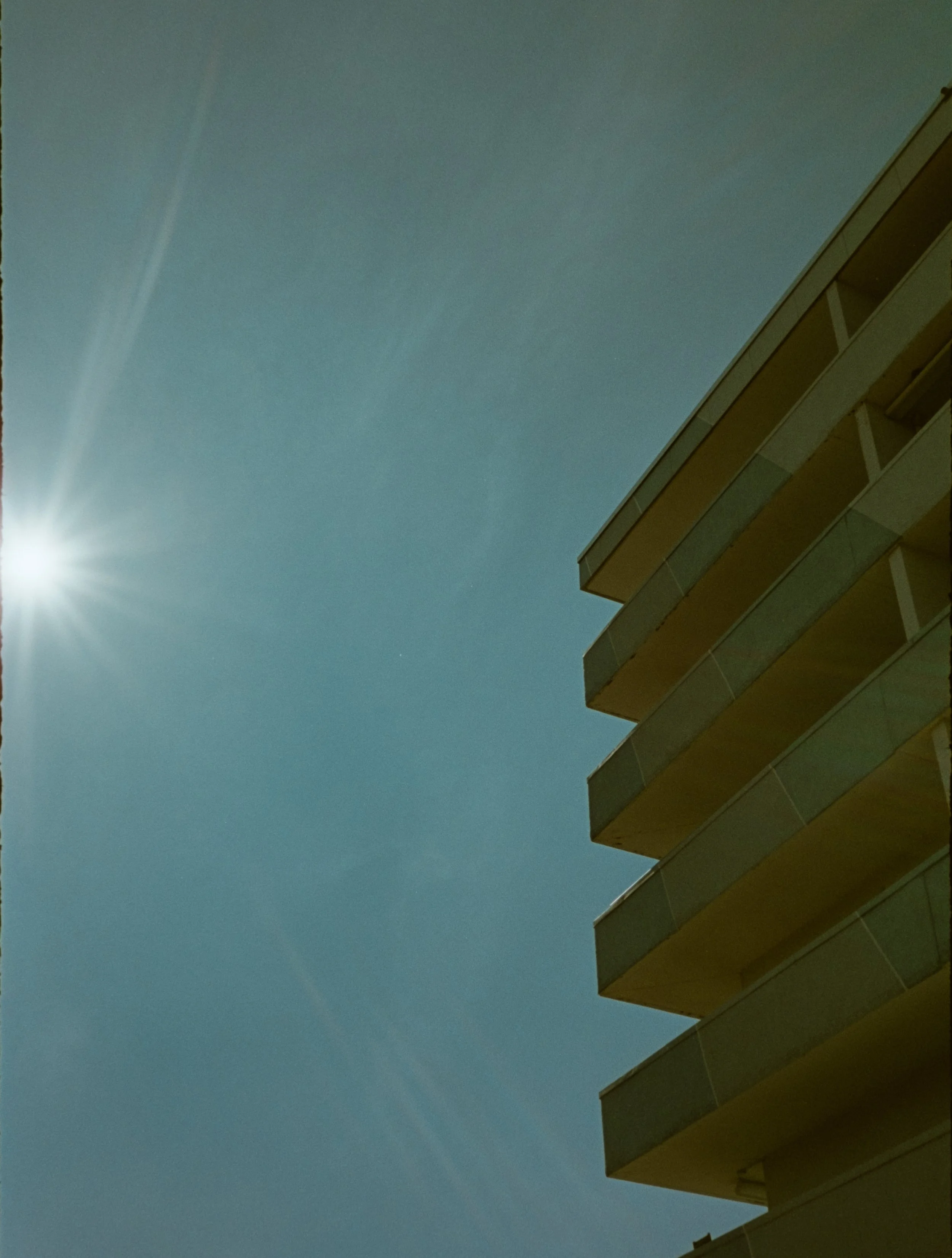 IMG_1223.jpeg