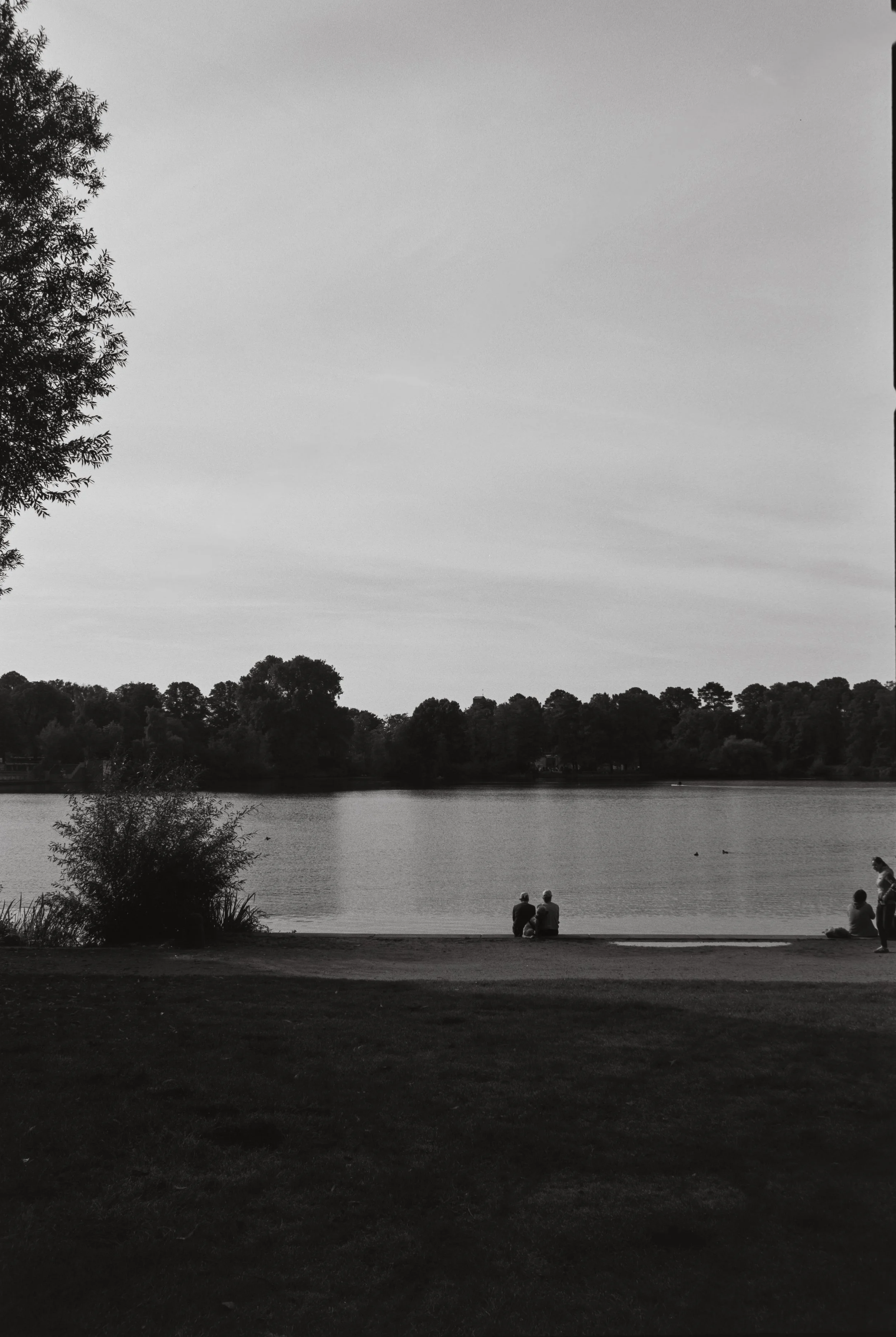 DSC00710.jpeg