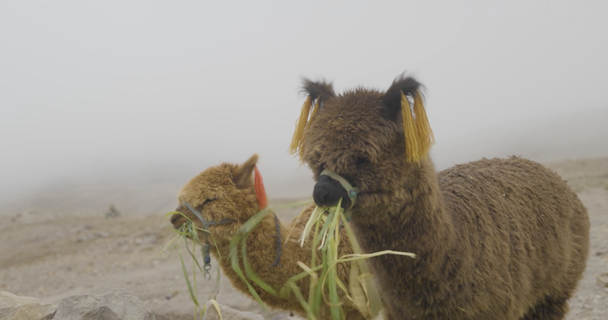 Screenshot 2025-12-03 at 3.35.22 PM.png