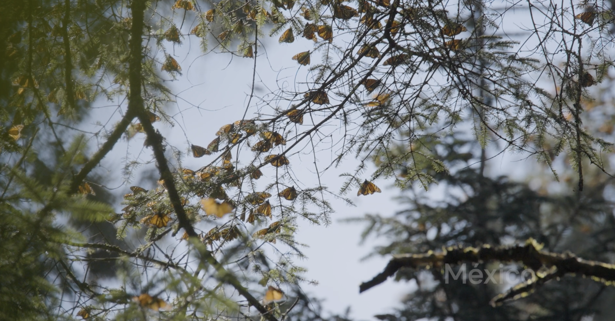 Screenshot 2025-12-03 at 3.42.47 PM.png