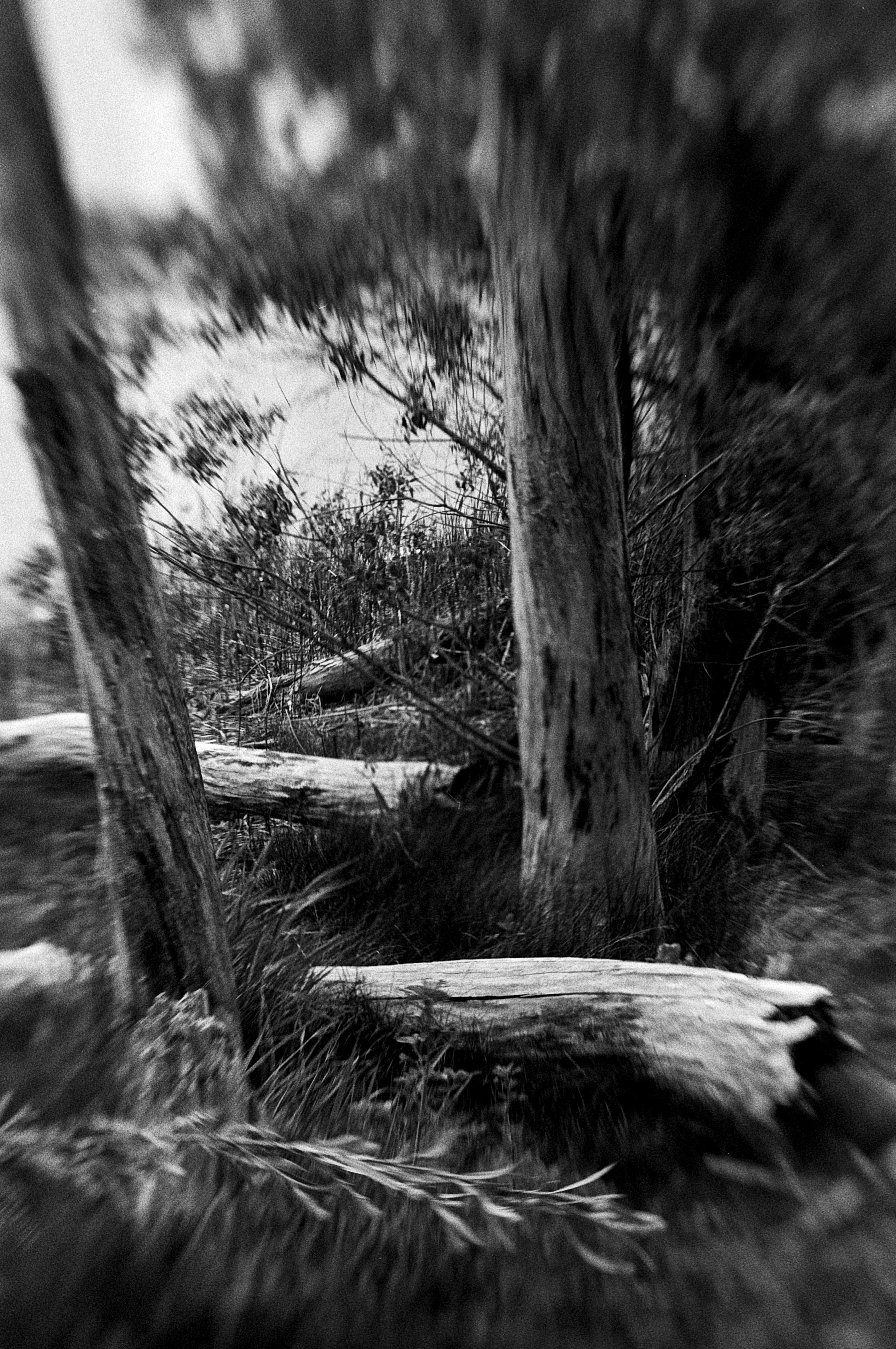 05242025 NIKONF3 Kentmere400hc110b6m mckay lake (14 of 20).jpg