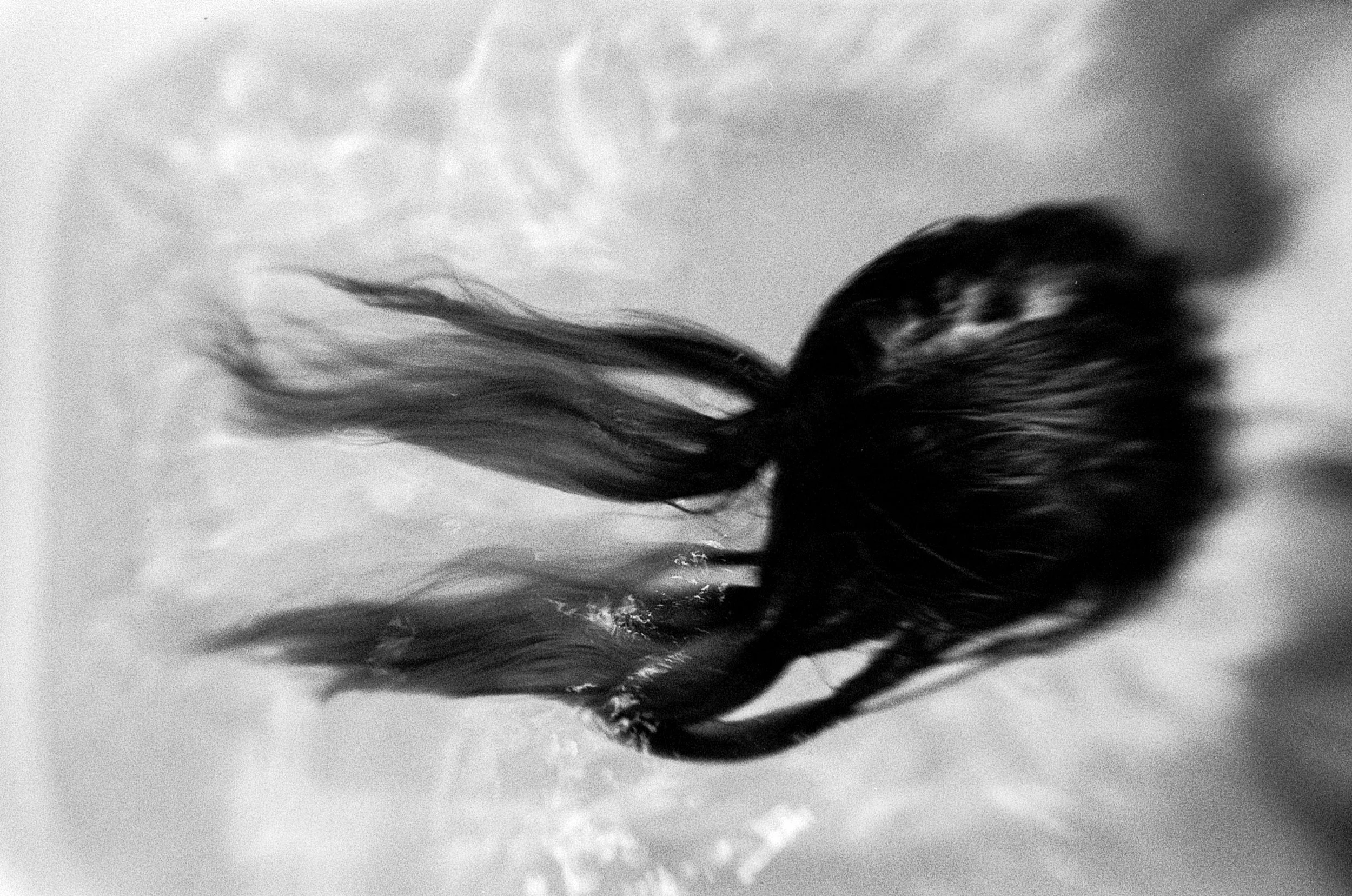 05172025 NIKONF3 AristaEDU400 F76+8m 52F water (15 of 21).jpg