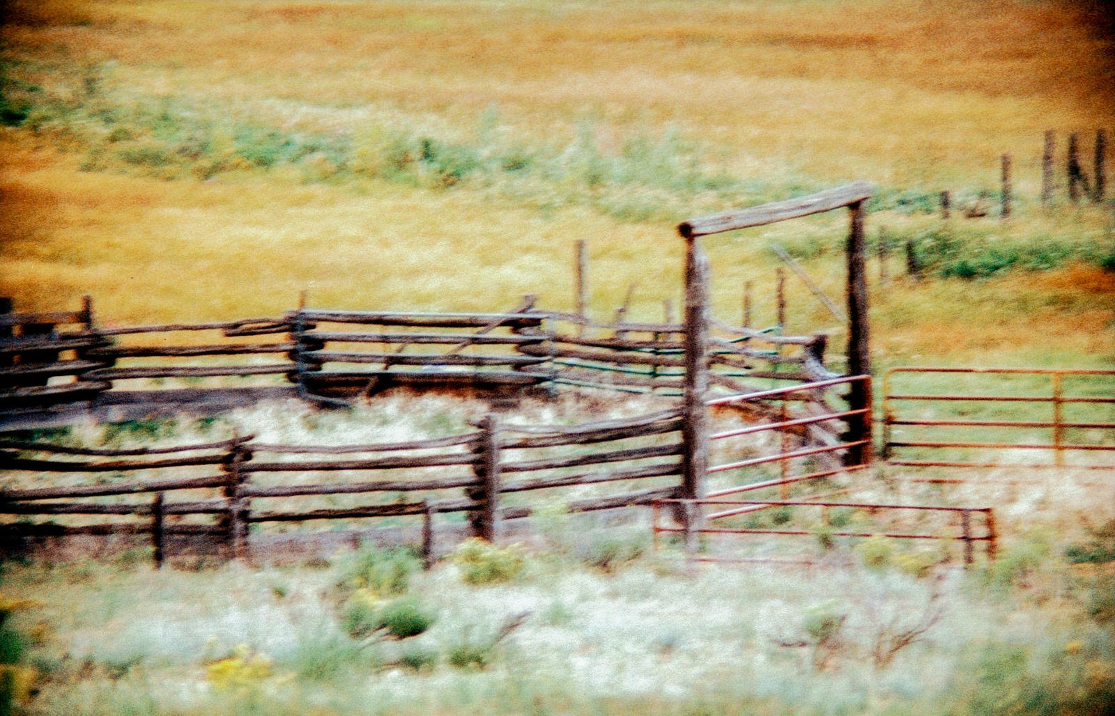 09242024 NIKONFE2 Phoenix@160 Ouray Uncompahgre river ridgway state park roll 11 (68 of 36).jpg