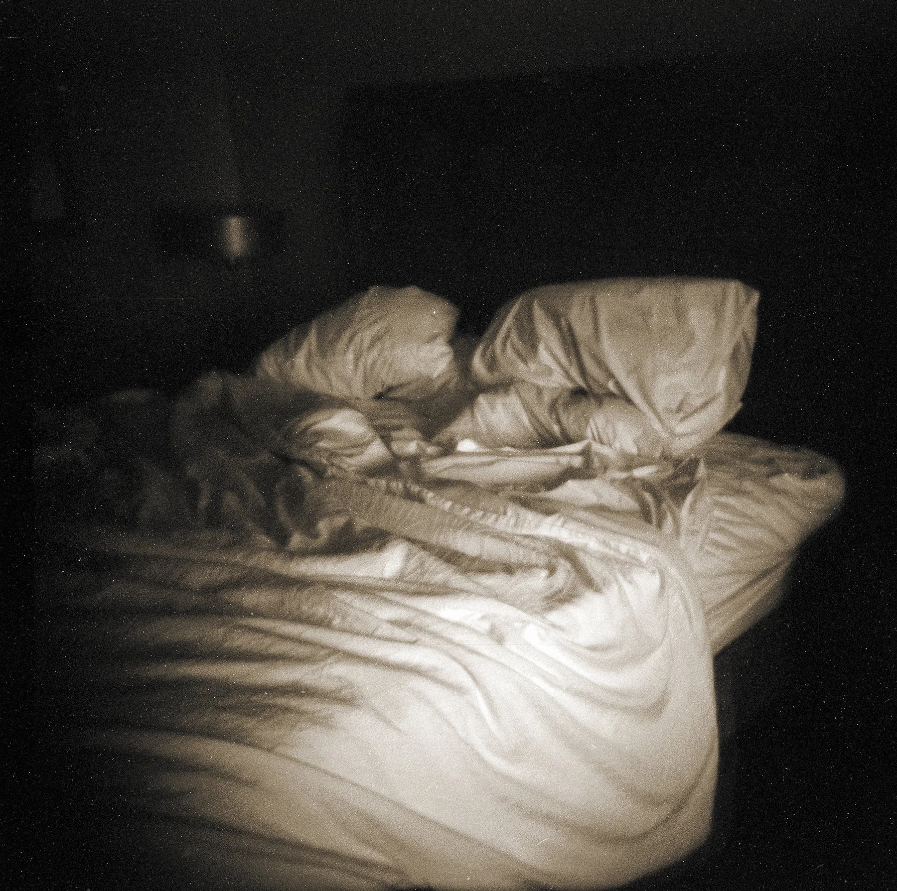 sized for site bed.jpg