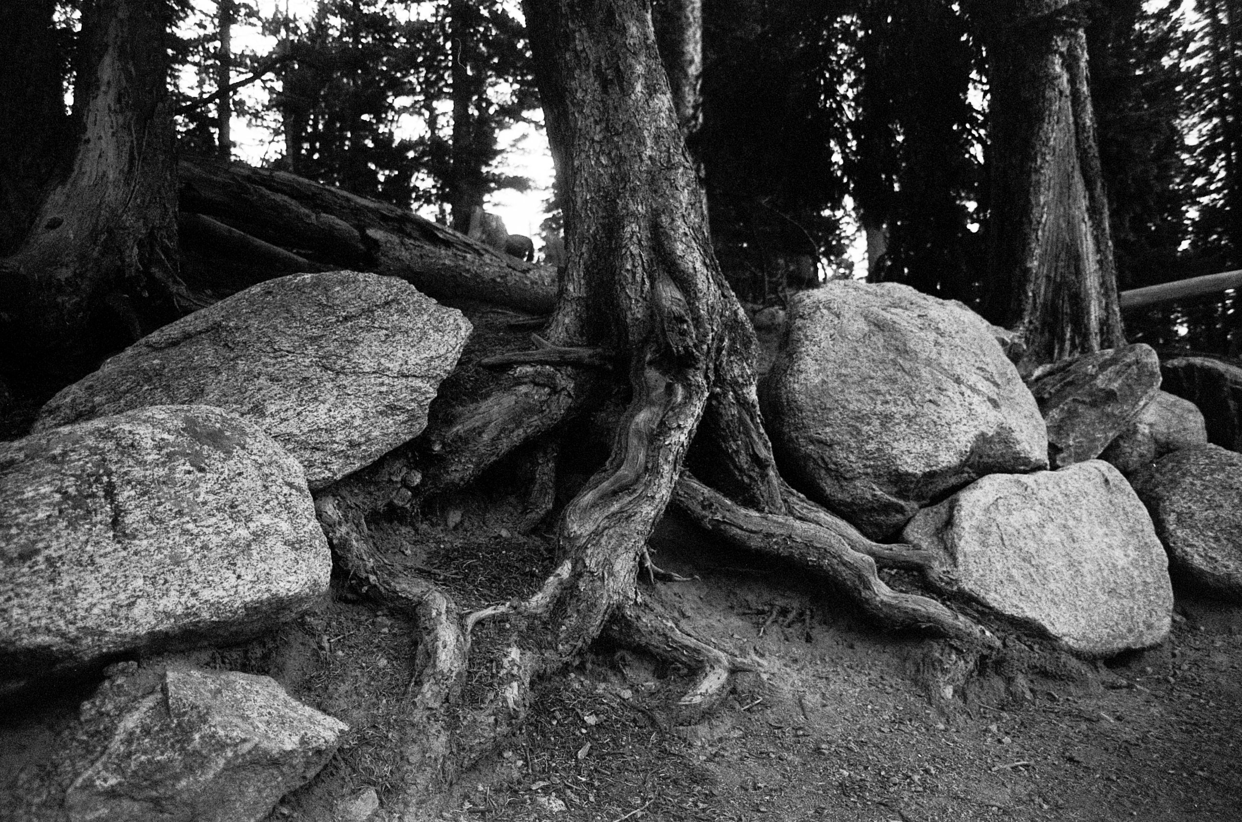 10092022 OLYOM2 aristaEDU400 v76+ echo lake trip (26 of 29).jpg