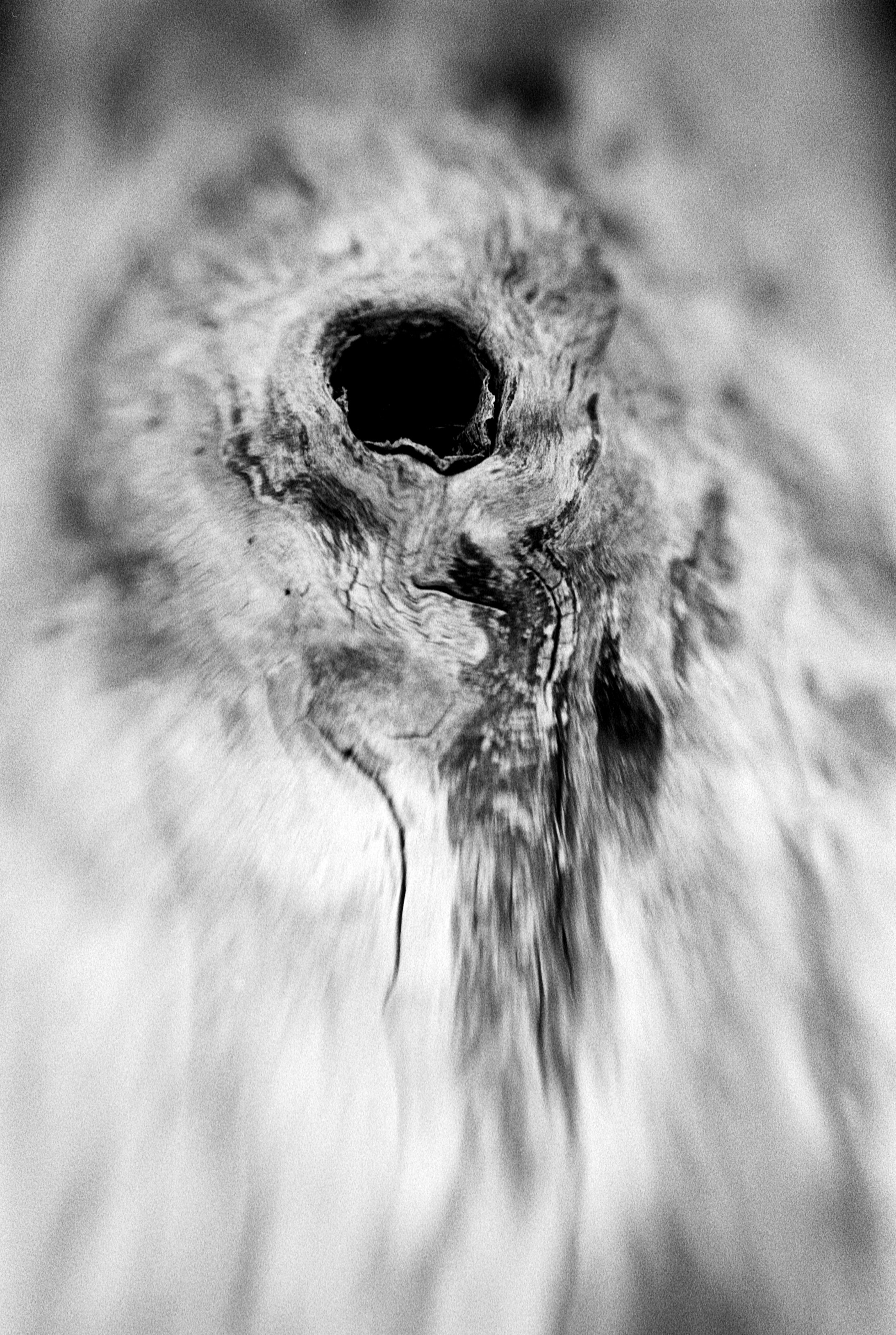 05242025 NIKONF3 Kentmere400hc110b6m mckay lake (6 of 20).jpg