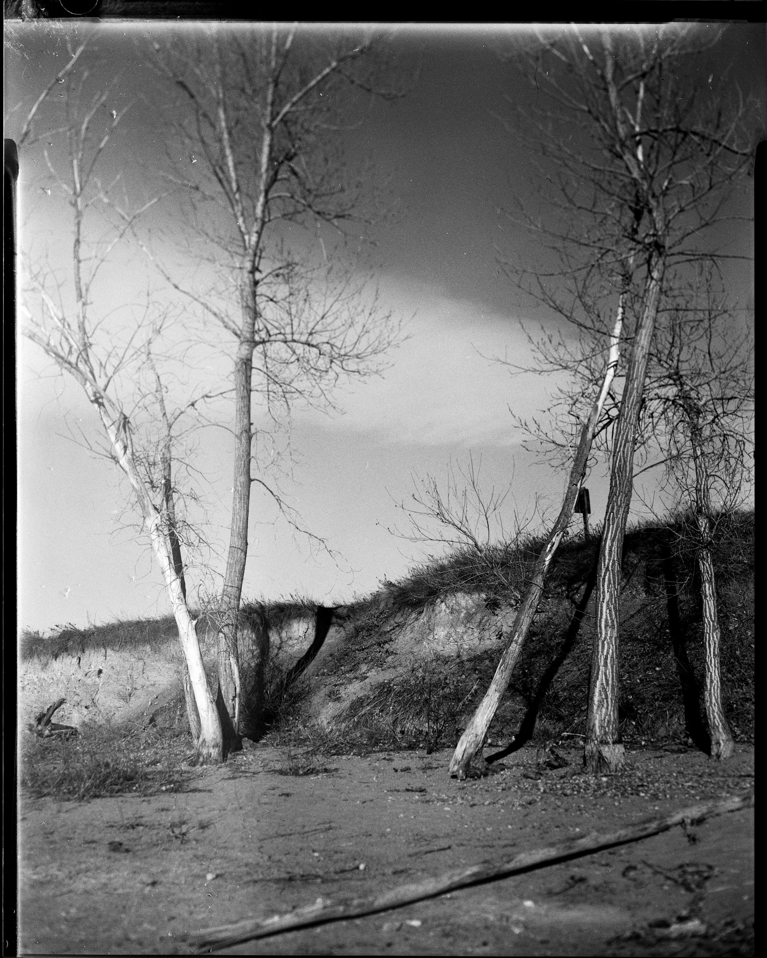03162025 TACHIHARA ArisaEDU400 and paper negs standley lake resize 3.jpg