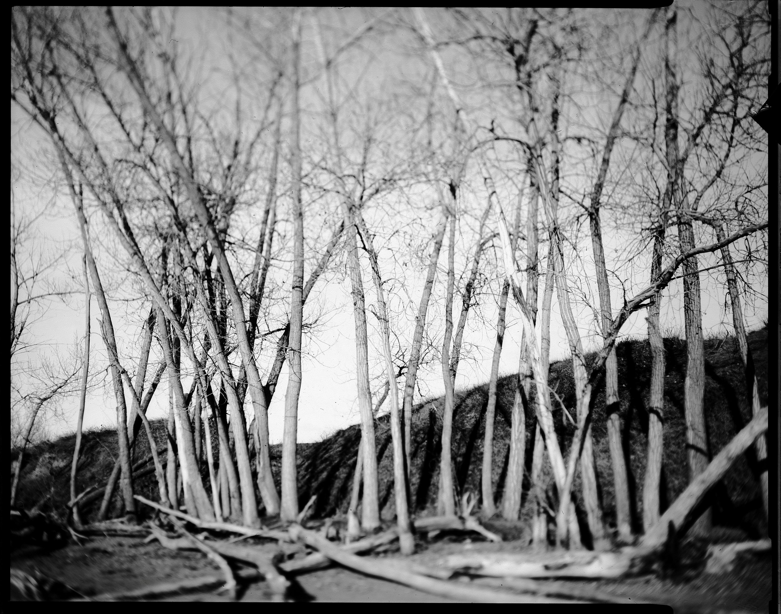 03162025 TACHIHARA ArisaEDU400 and paper negs standley lake resize 2.jpg
