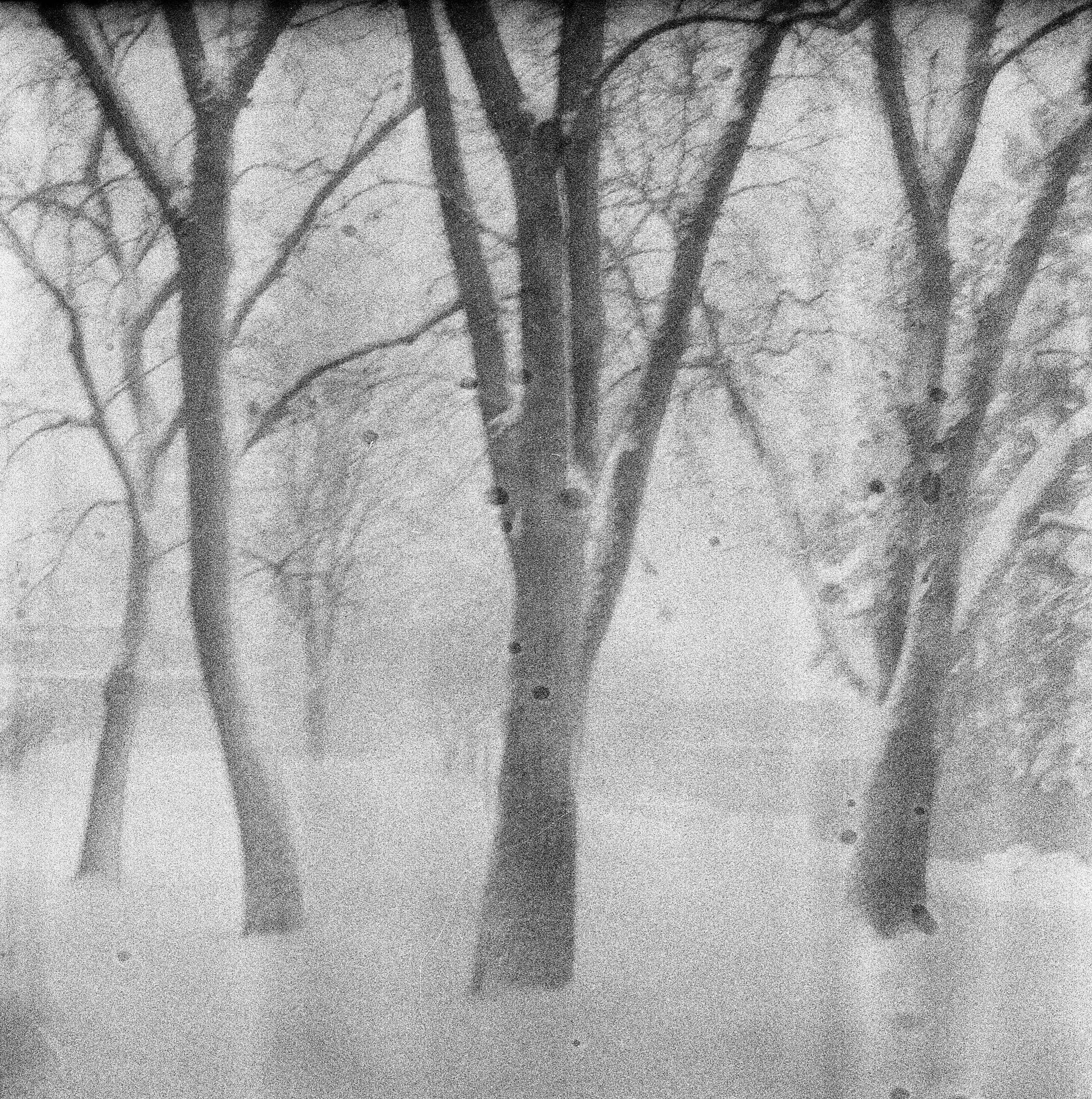 YASHICAEM AristaEDU100 hc110b snow day 7.jpg