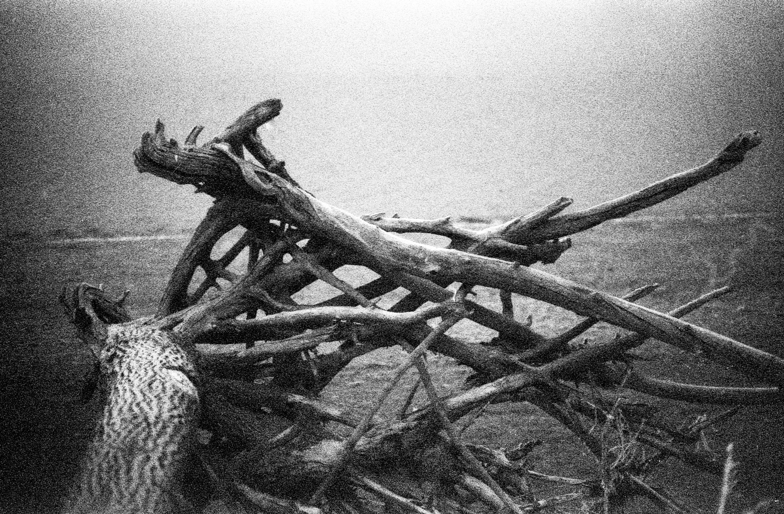 01042025 NIKONFE2 AristaEDU400 F76+8m lake foggy day roll 5 (4 of 25).jpg