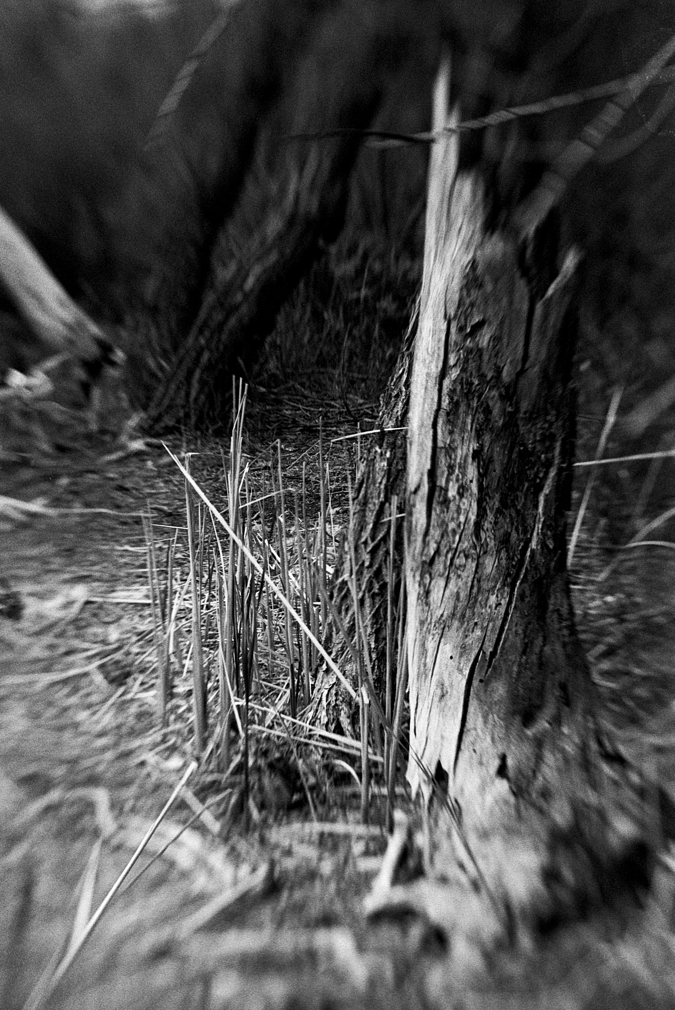 05242025 NIKONF3 Kentmere400hc110b6m mckay lake (16 of 20).jpg