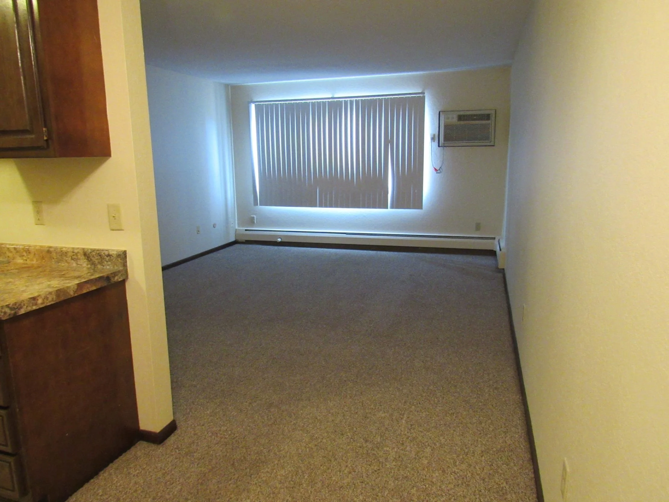 union-park-apartments-living-room-st-paul.jpg