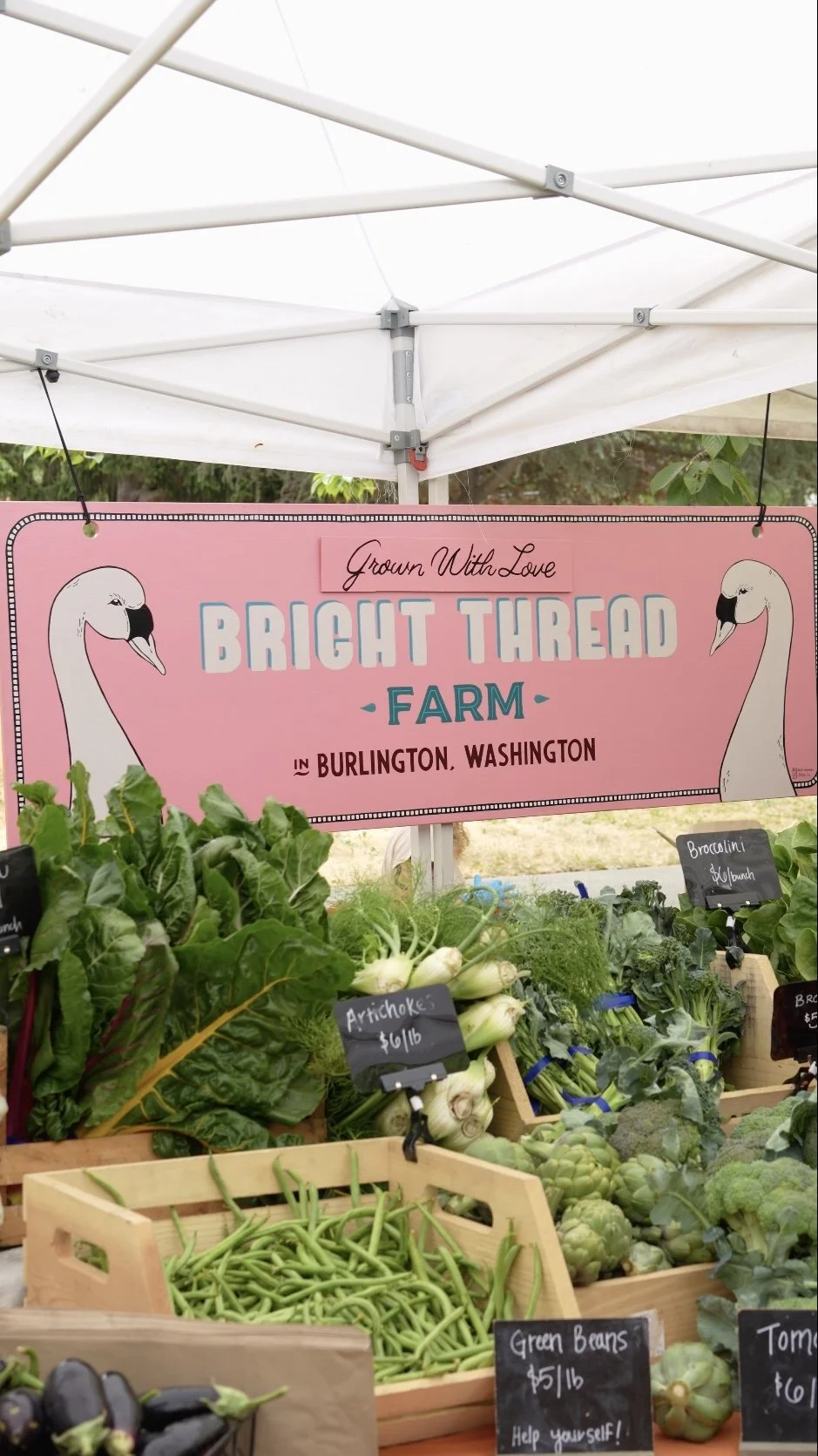 Image 8-15-25 at 8.27 PM.jpeg