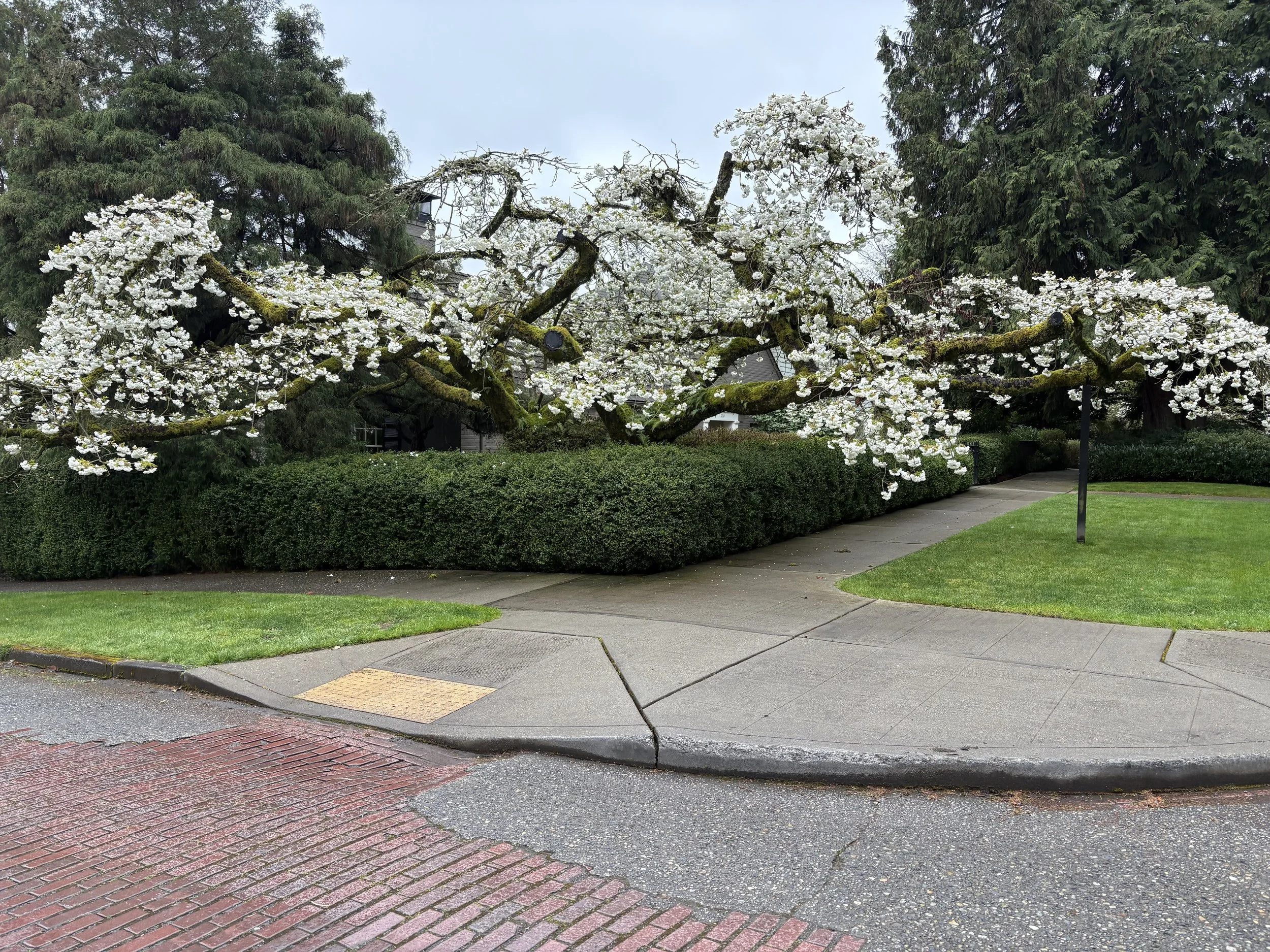 JUST AROUND THE CORNER 