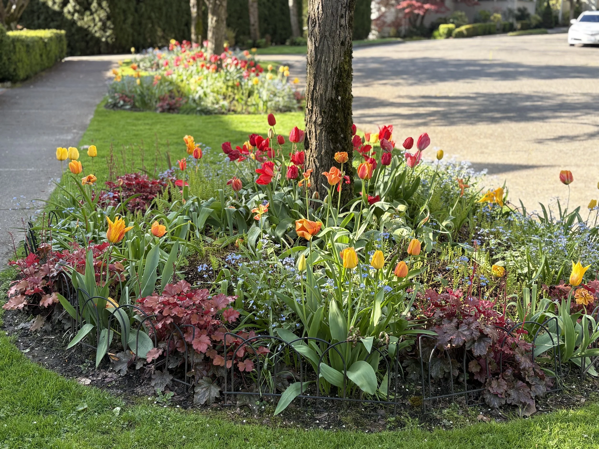 THE BEAUTY OF MADISON PARK