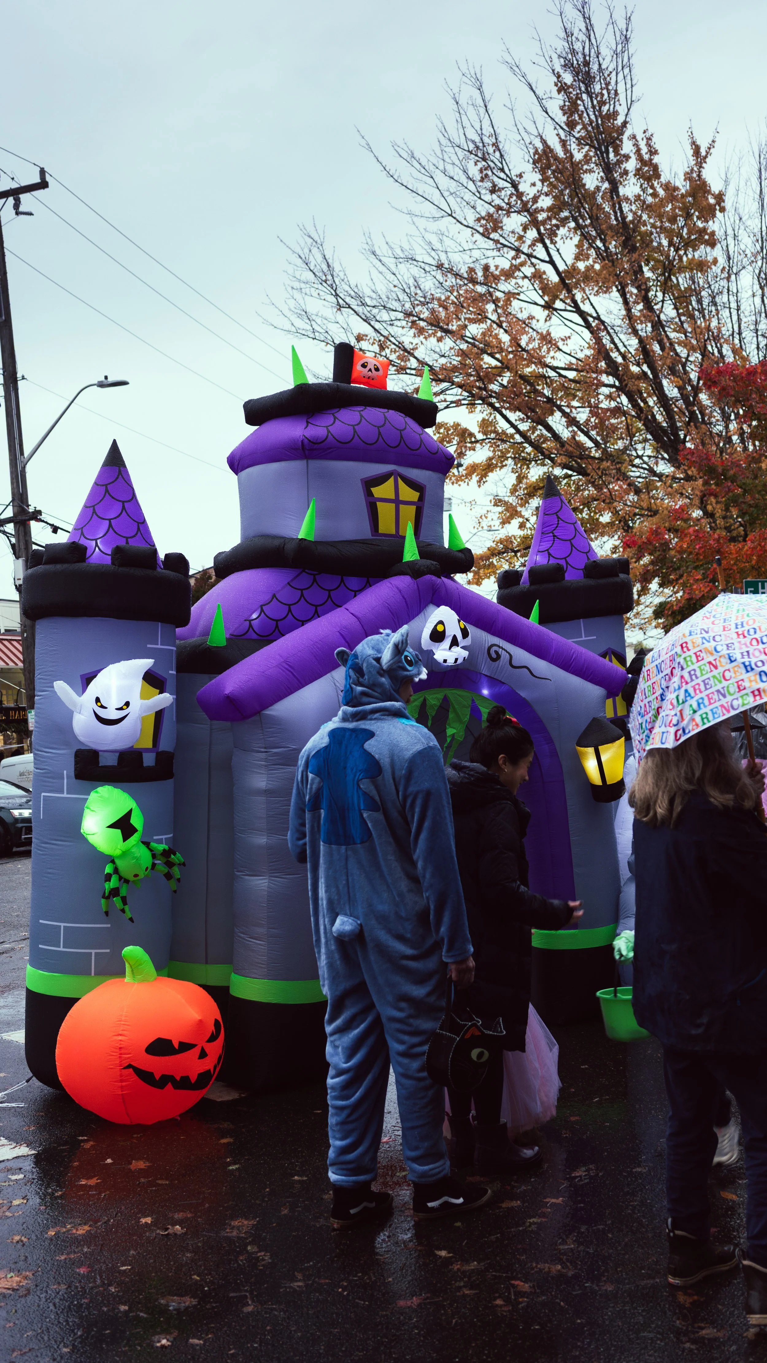 DSC08856.jpg