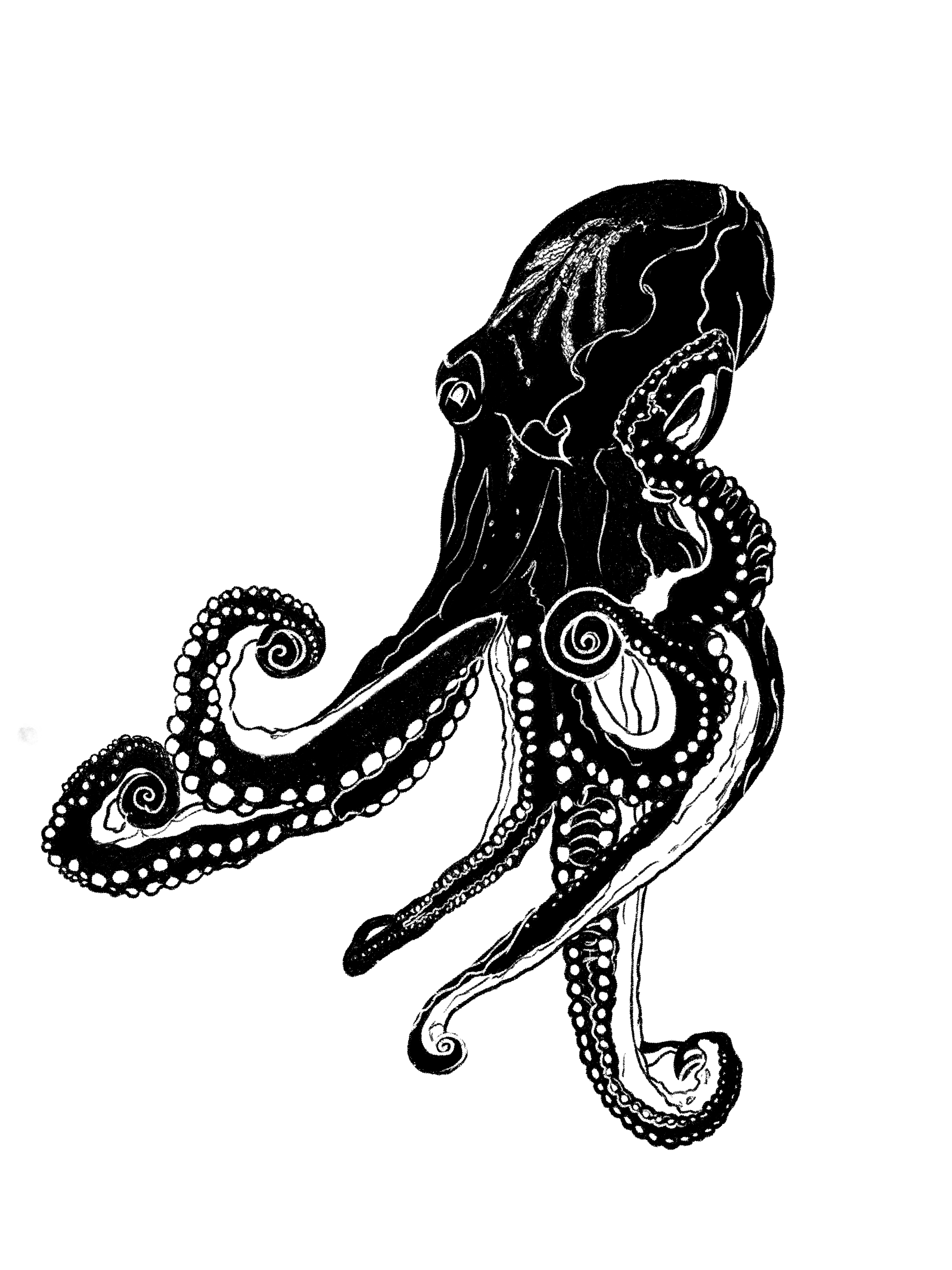 Untitled_Artwork 205.png