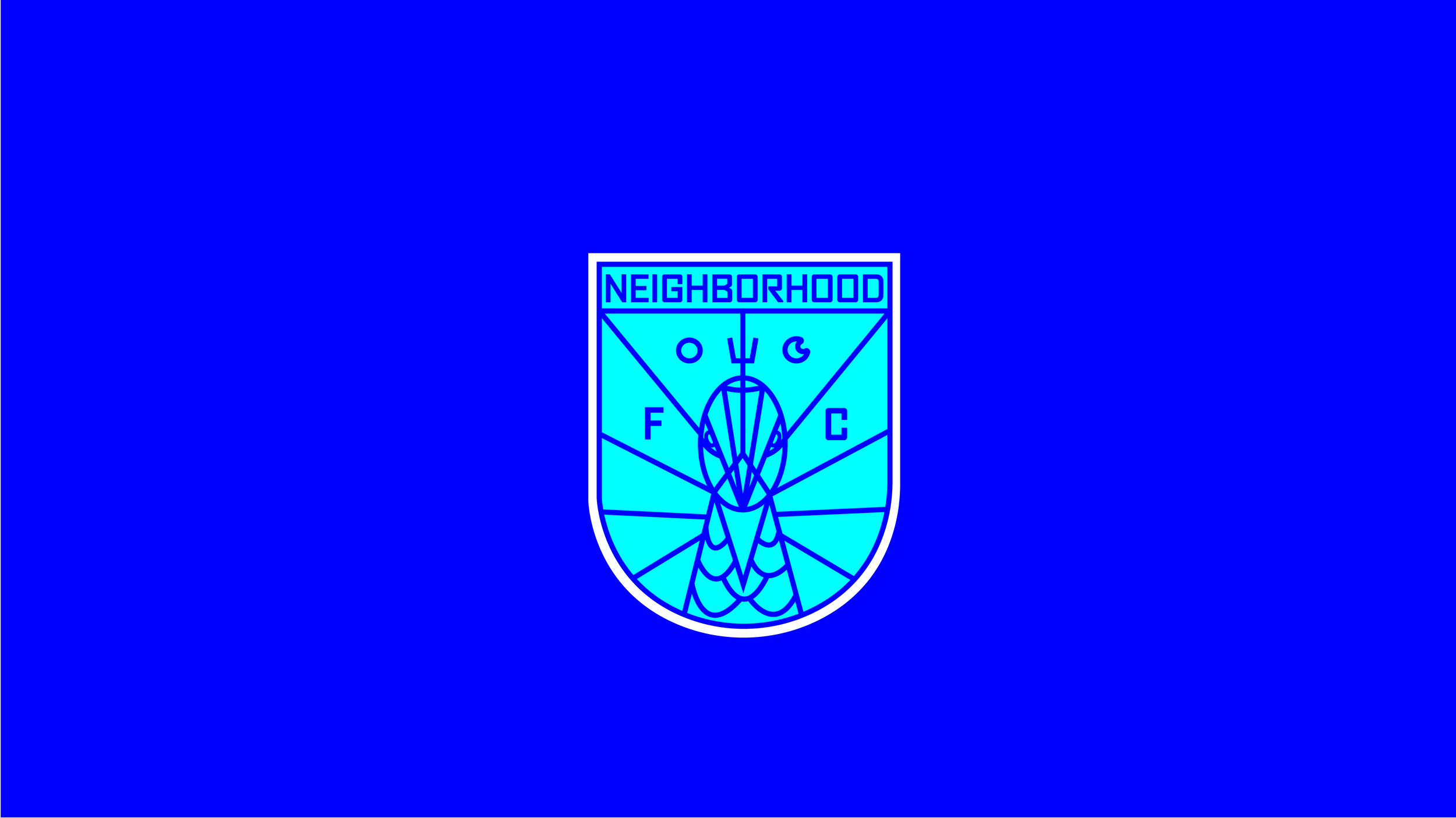NFC official logo copy-02.png