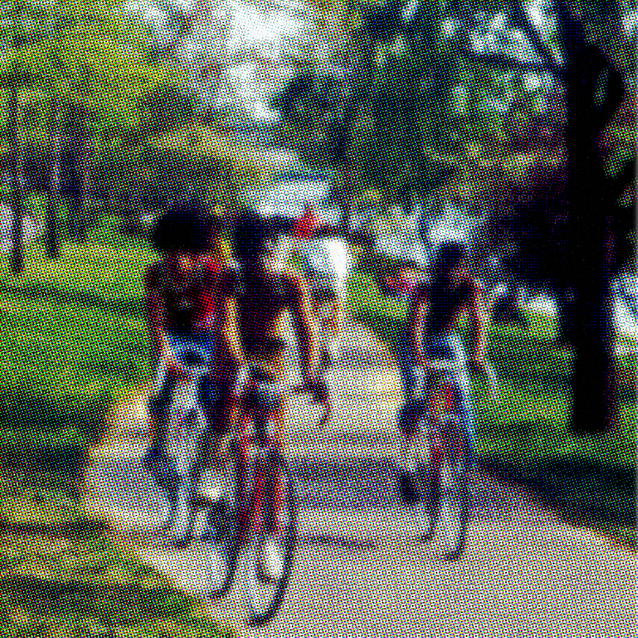 park kids.png
