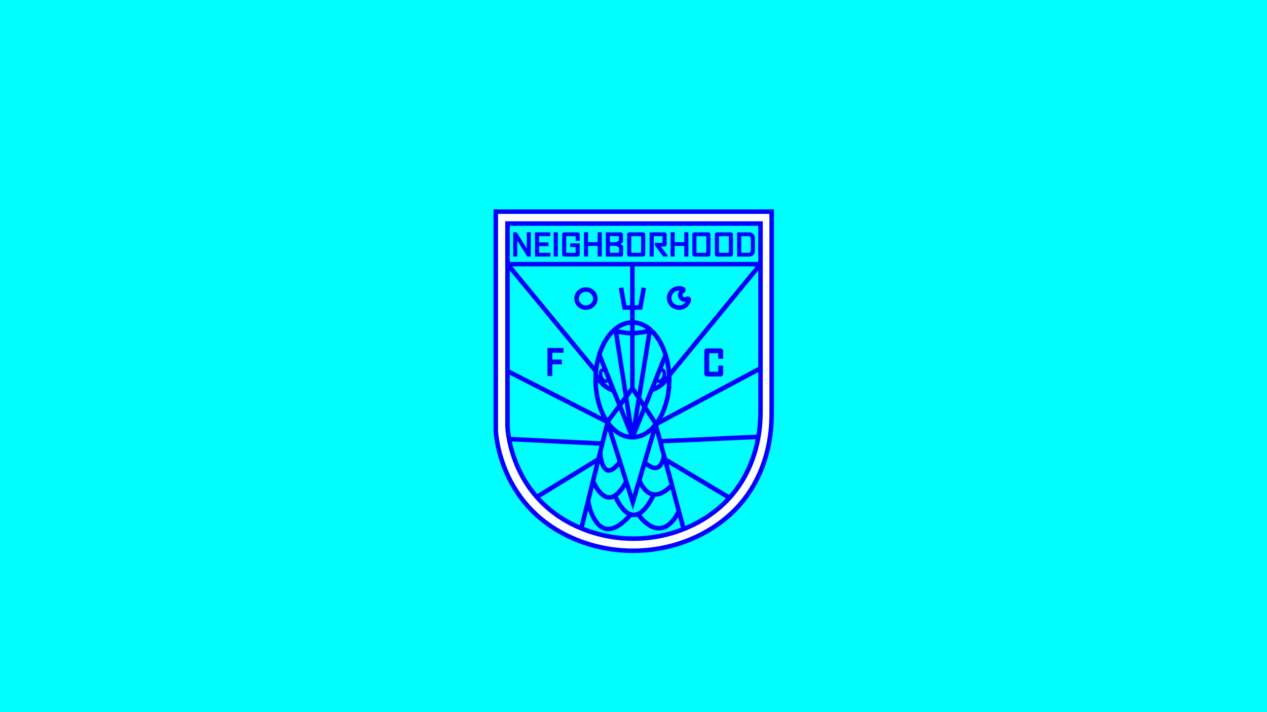 NFC official logo copy-01.png