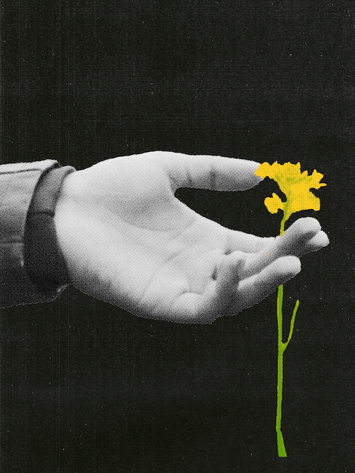 handnflower.png