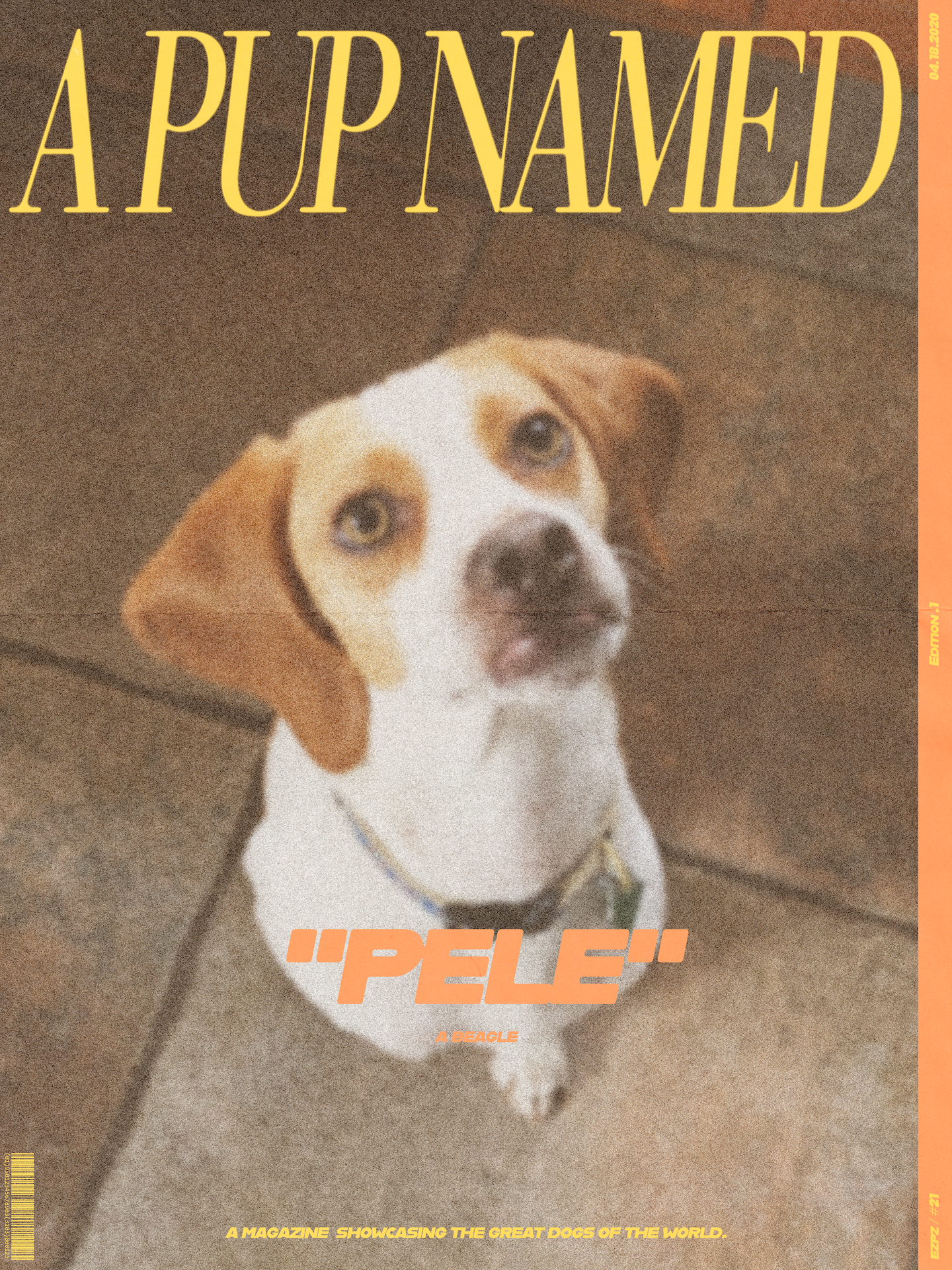 poster. 21.png