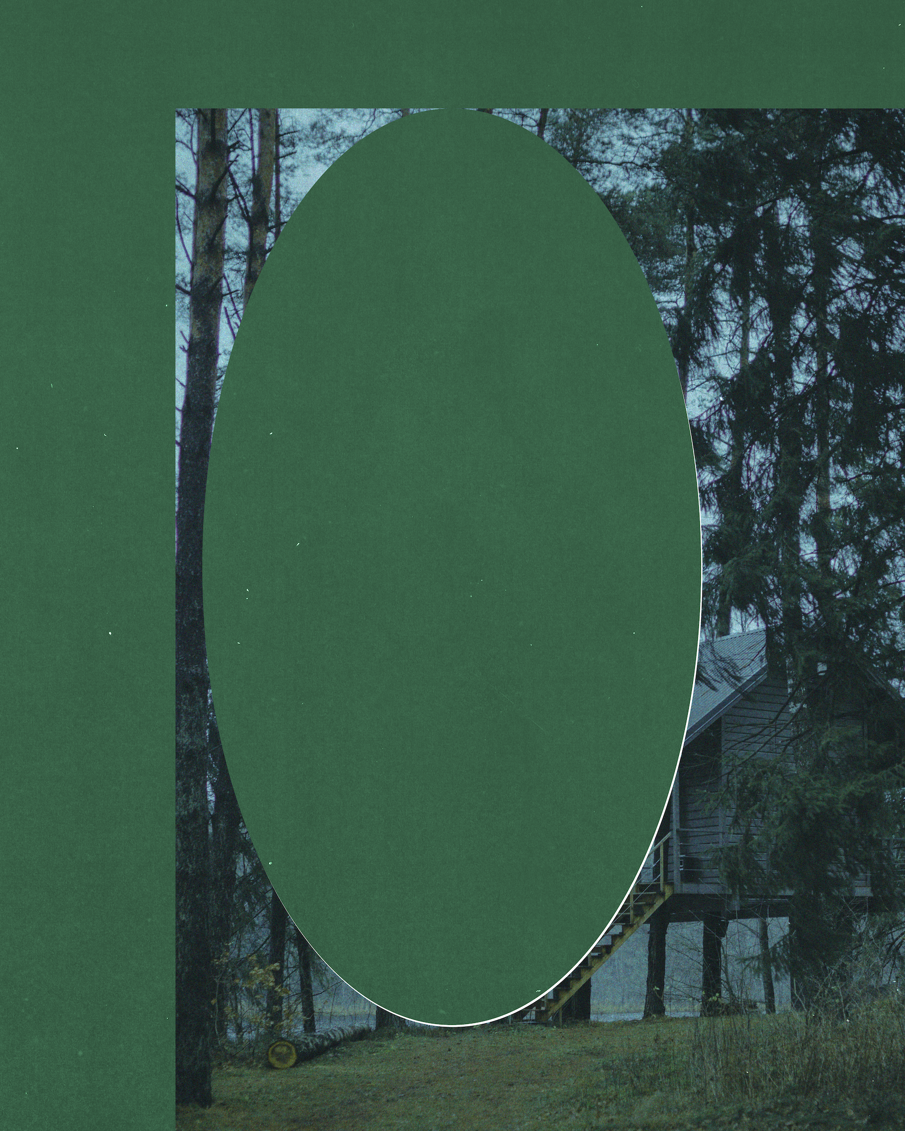 forest2.png