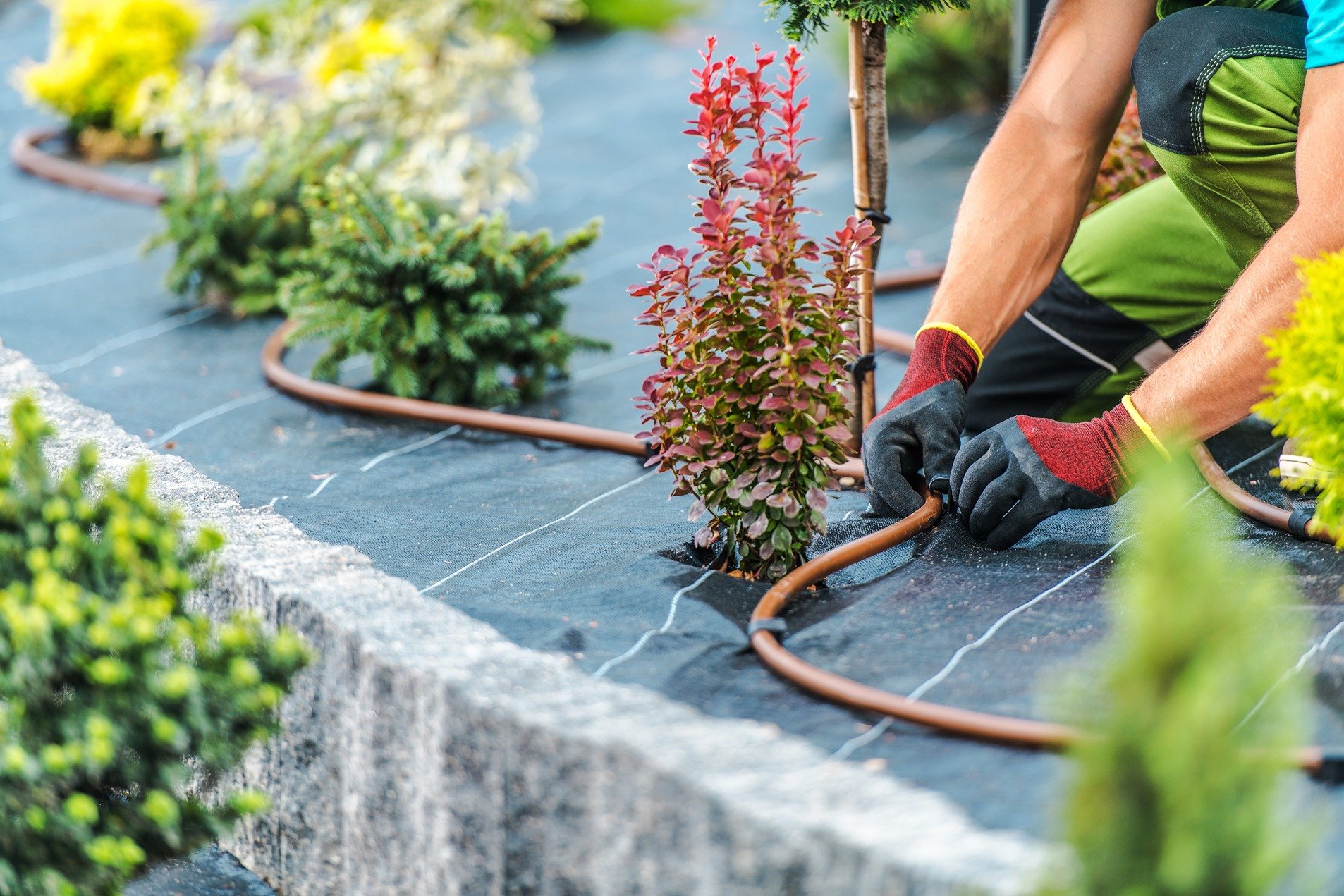 How Landscape Irrigation Contractors Help Save Water