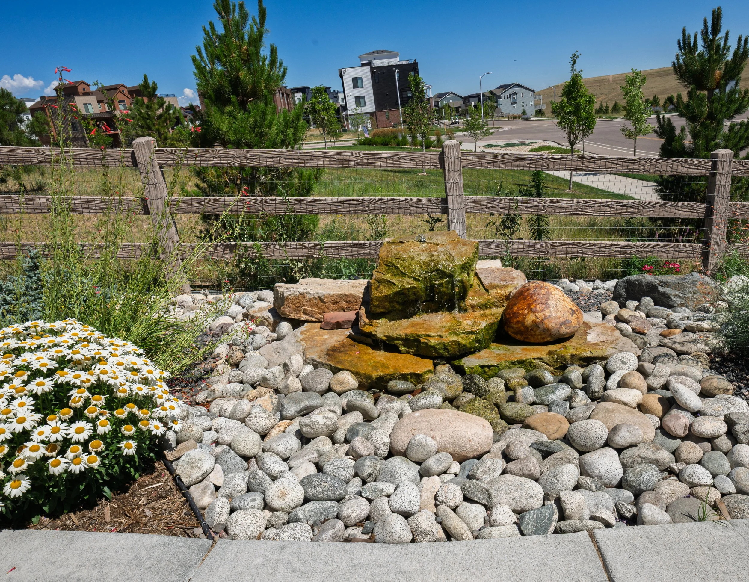Enviroscapes - Rydin - Roxborough-110.jpg