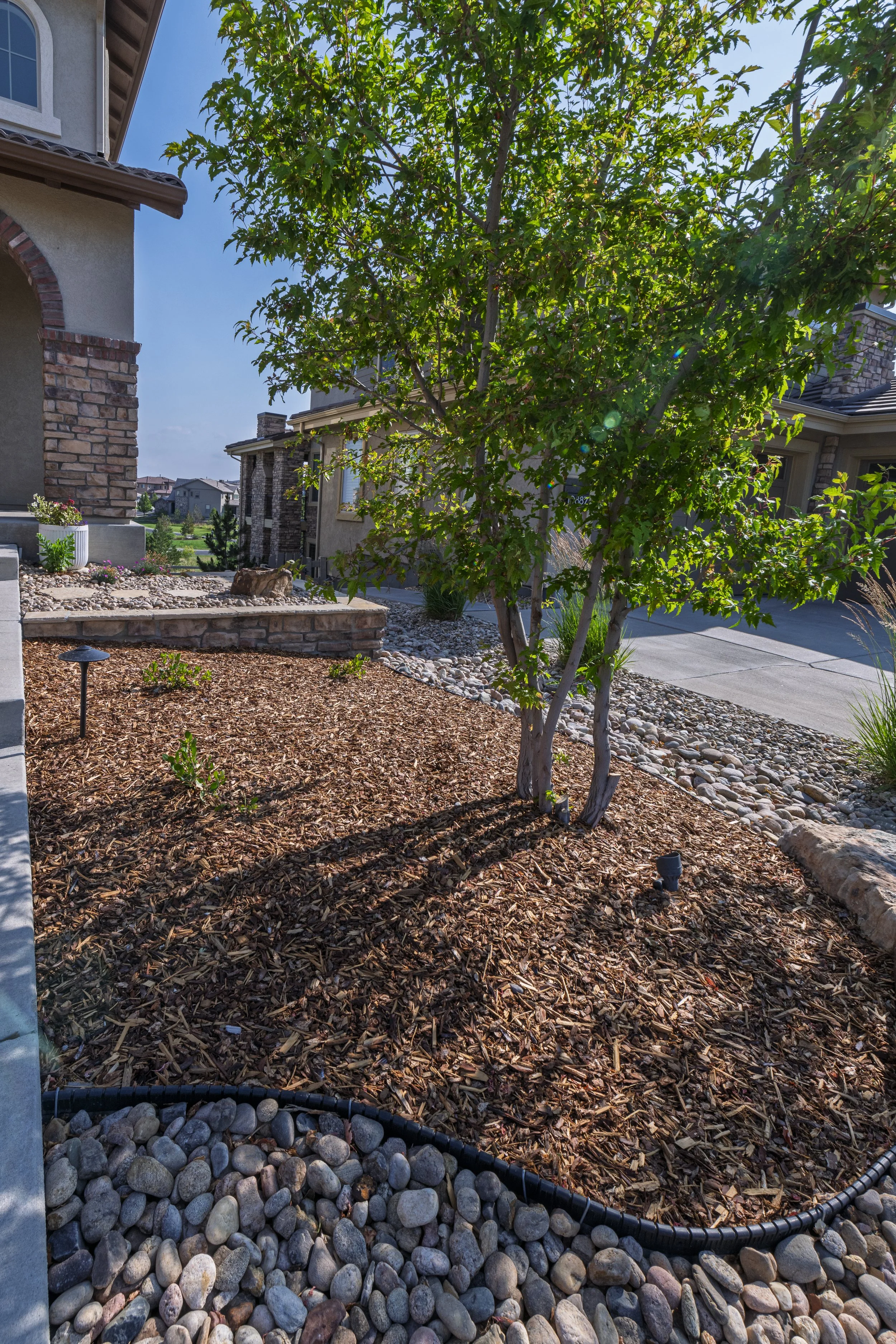 Enviroscapes - Richardson - Littleton-18.jpg