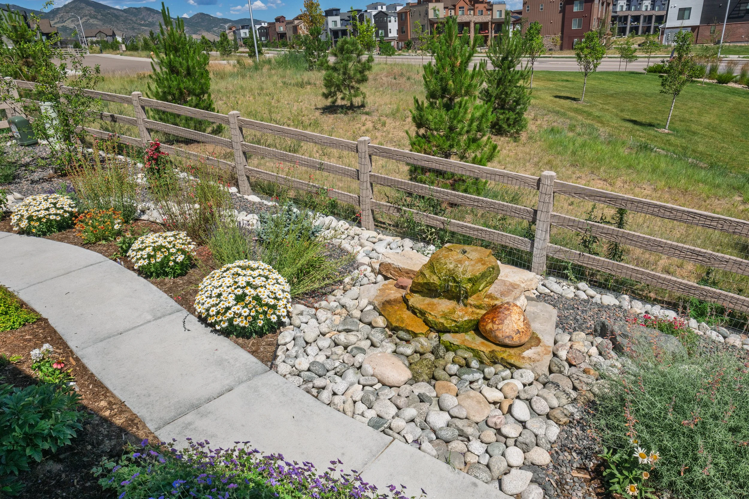 Enviroscapes - Rydin - Roxborough-117.jpg