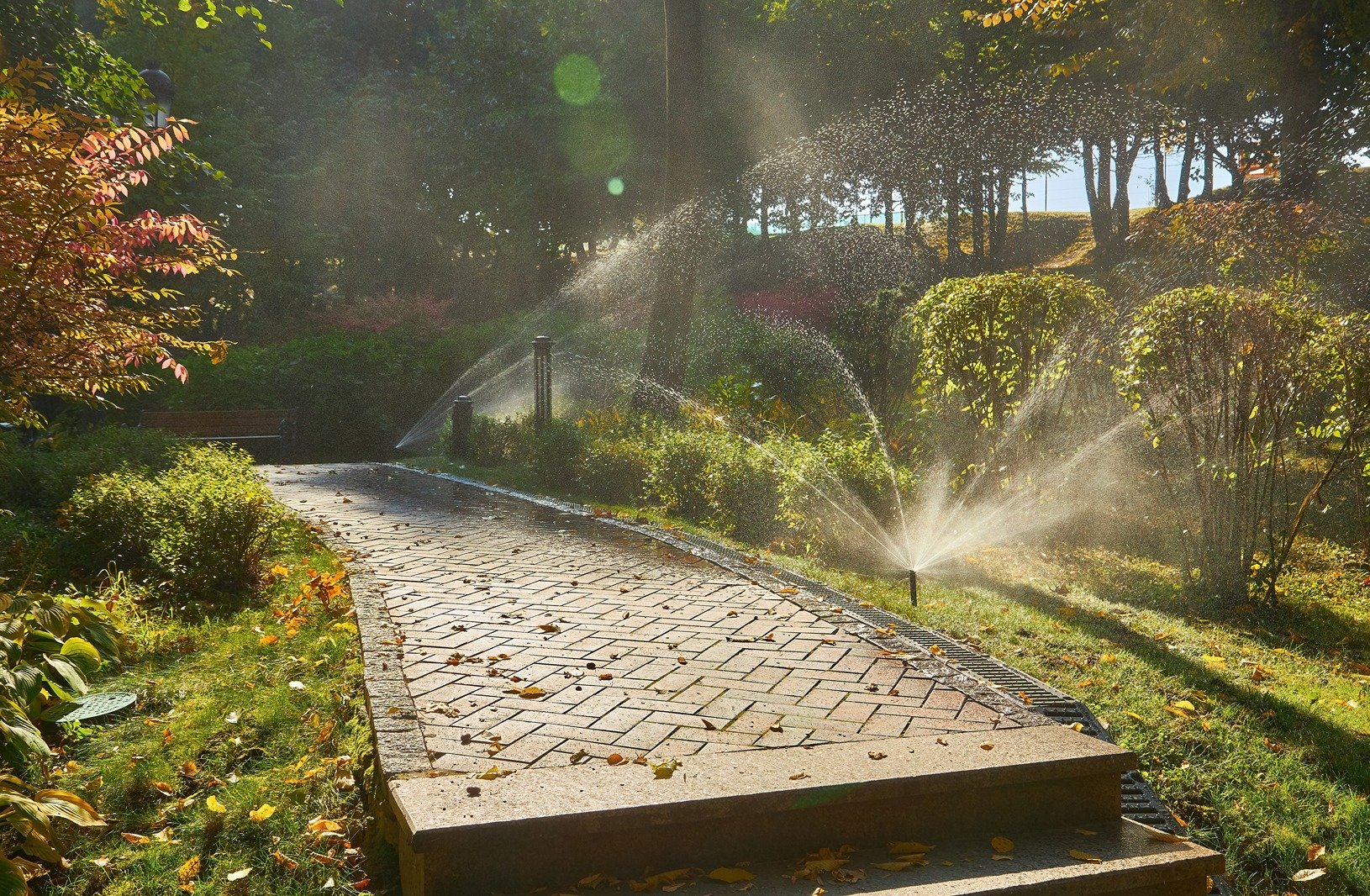 Sprinkler system watering a landscaped yard in fall before winterization in Denver.