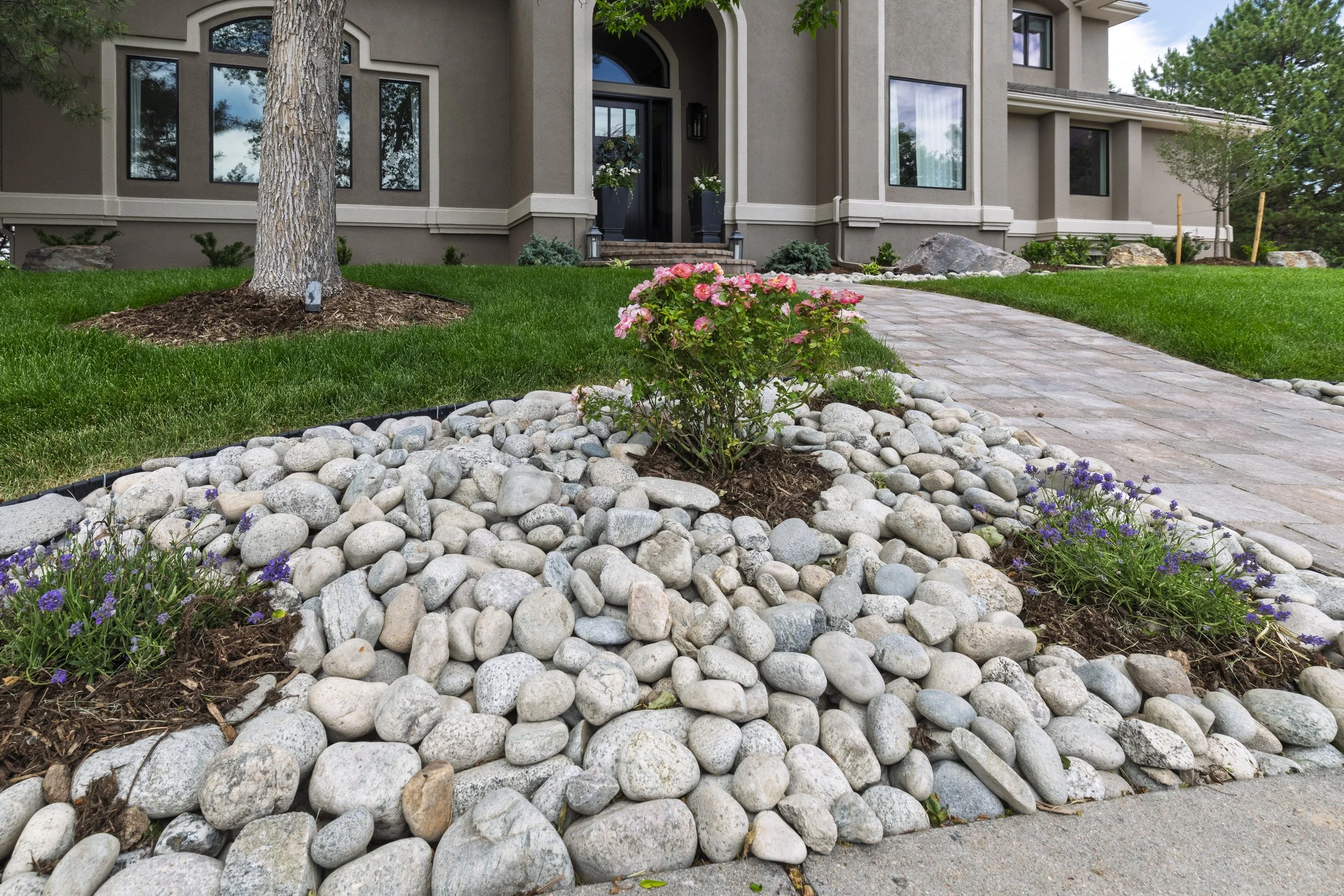 Enviroscapes - Vatter - Littleton-121.jpg