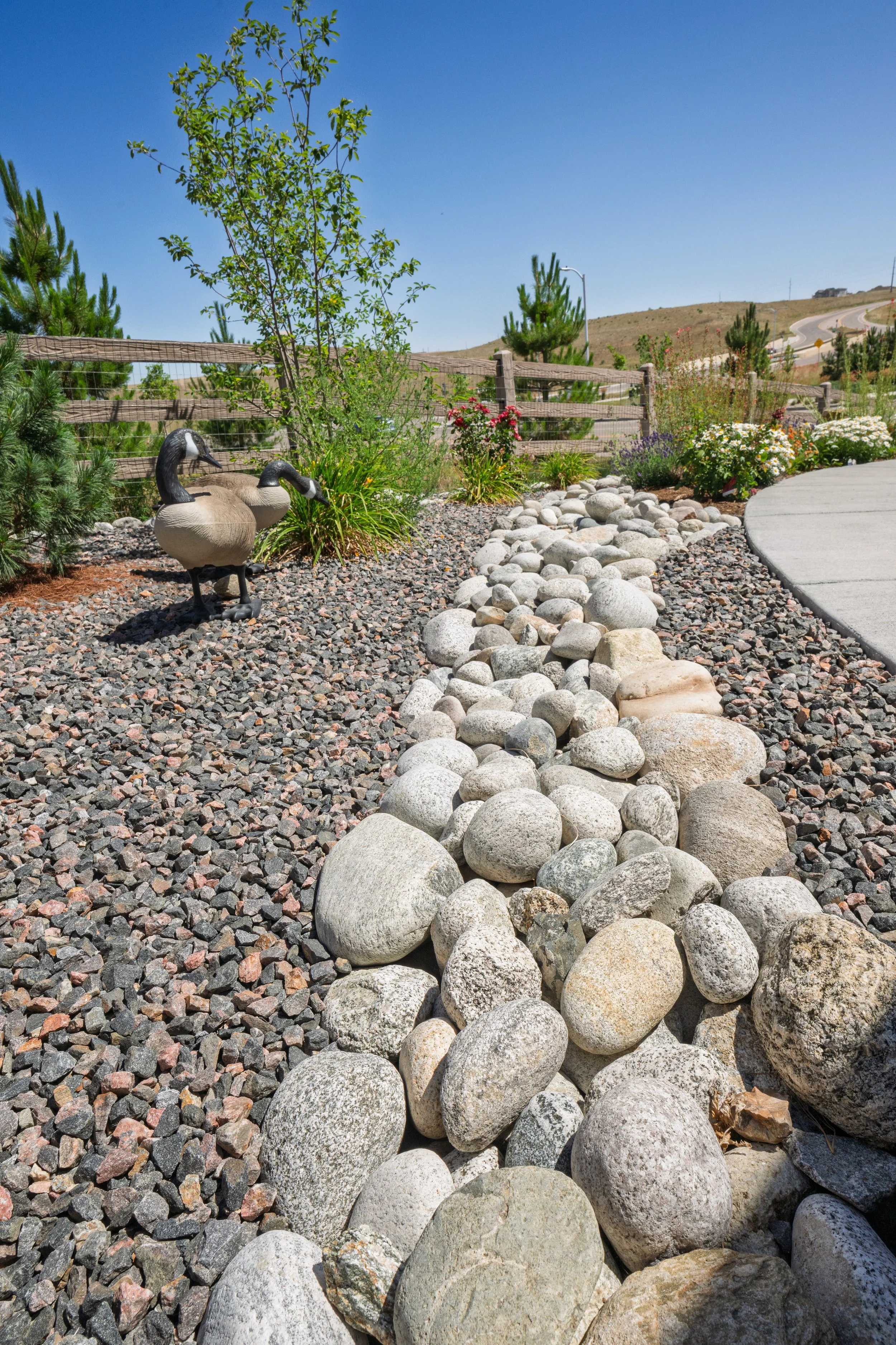 Enviroscapes - Rydin - Roxborough-107.jpg