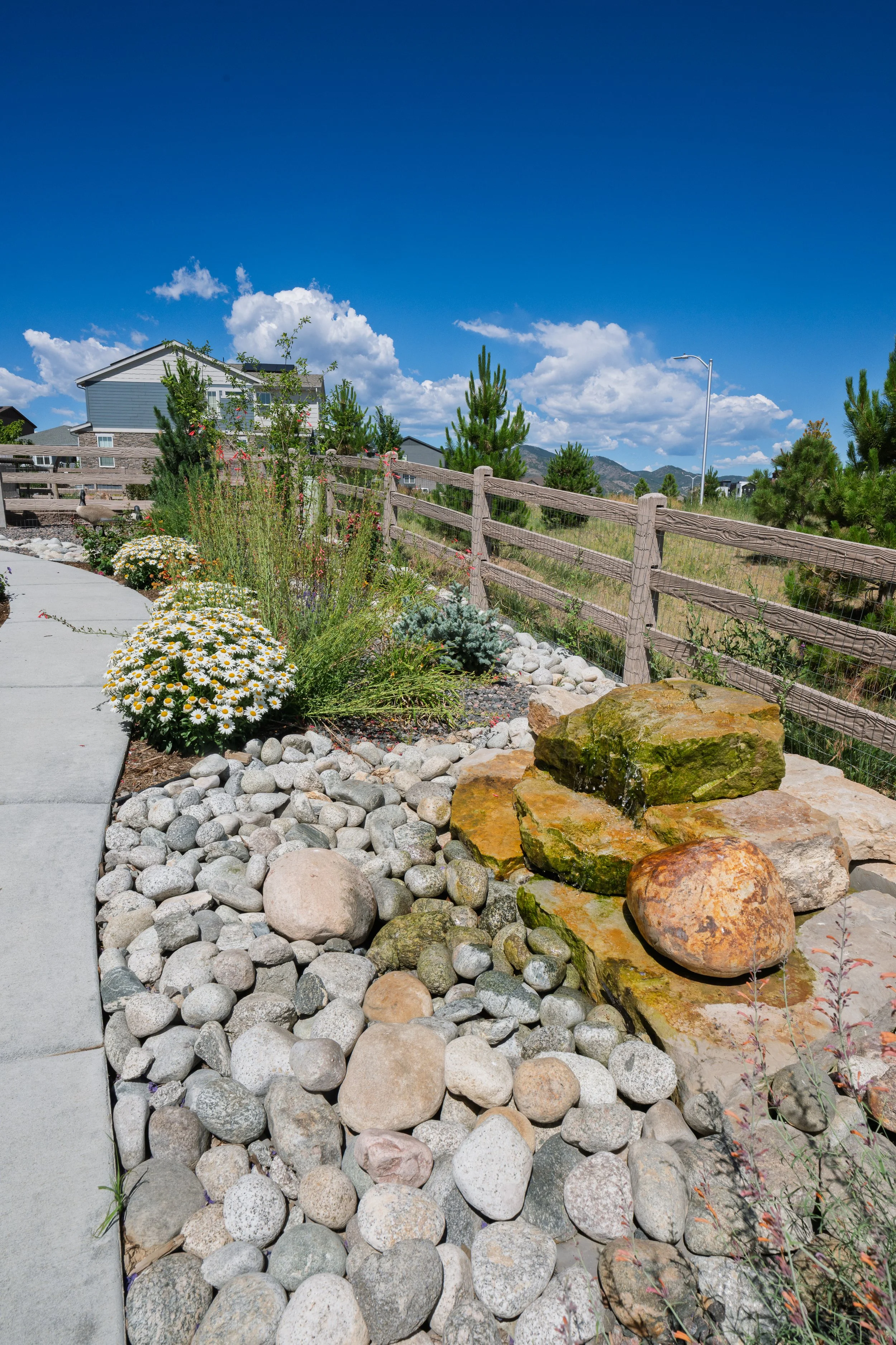 Enviroscapes - Rydin - Roxborough-118.jpg