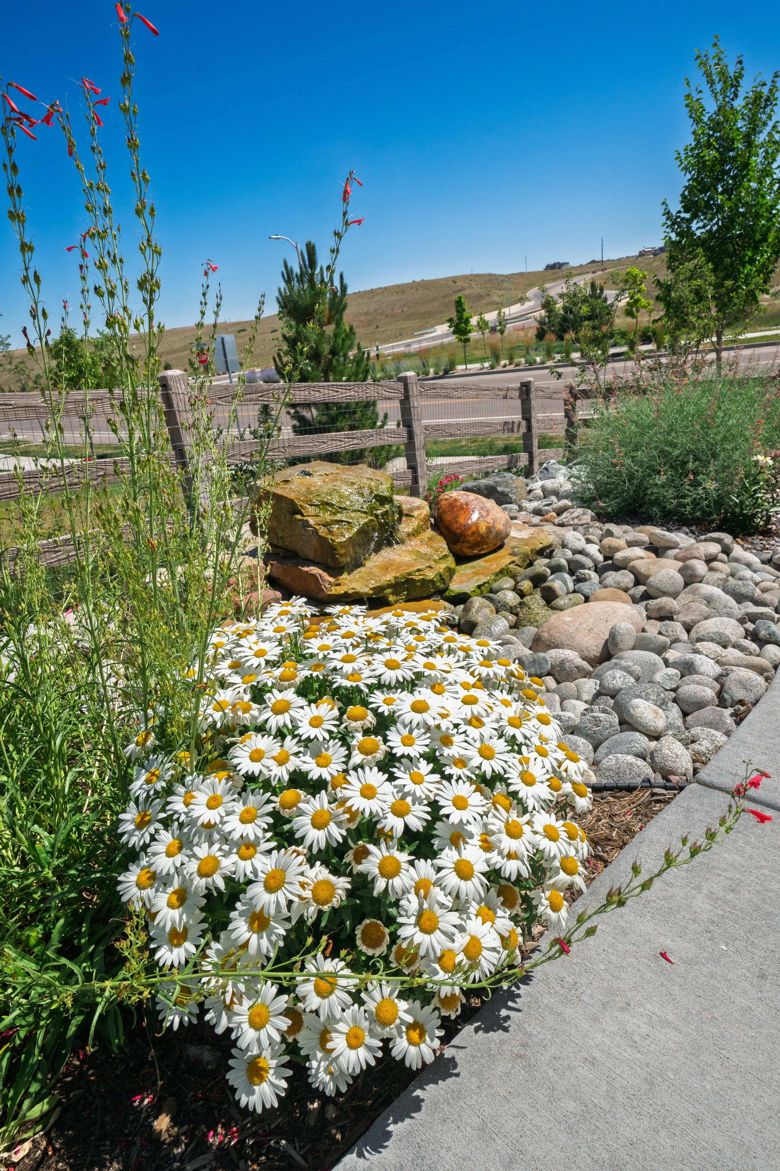 Enviroscapes - Rydin - Roxborough-121.jpg