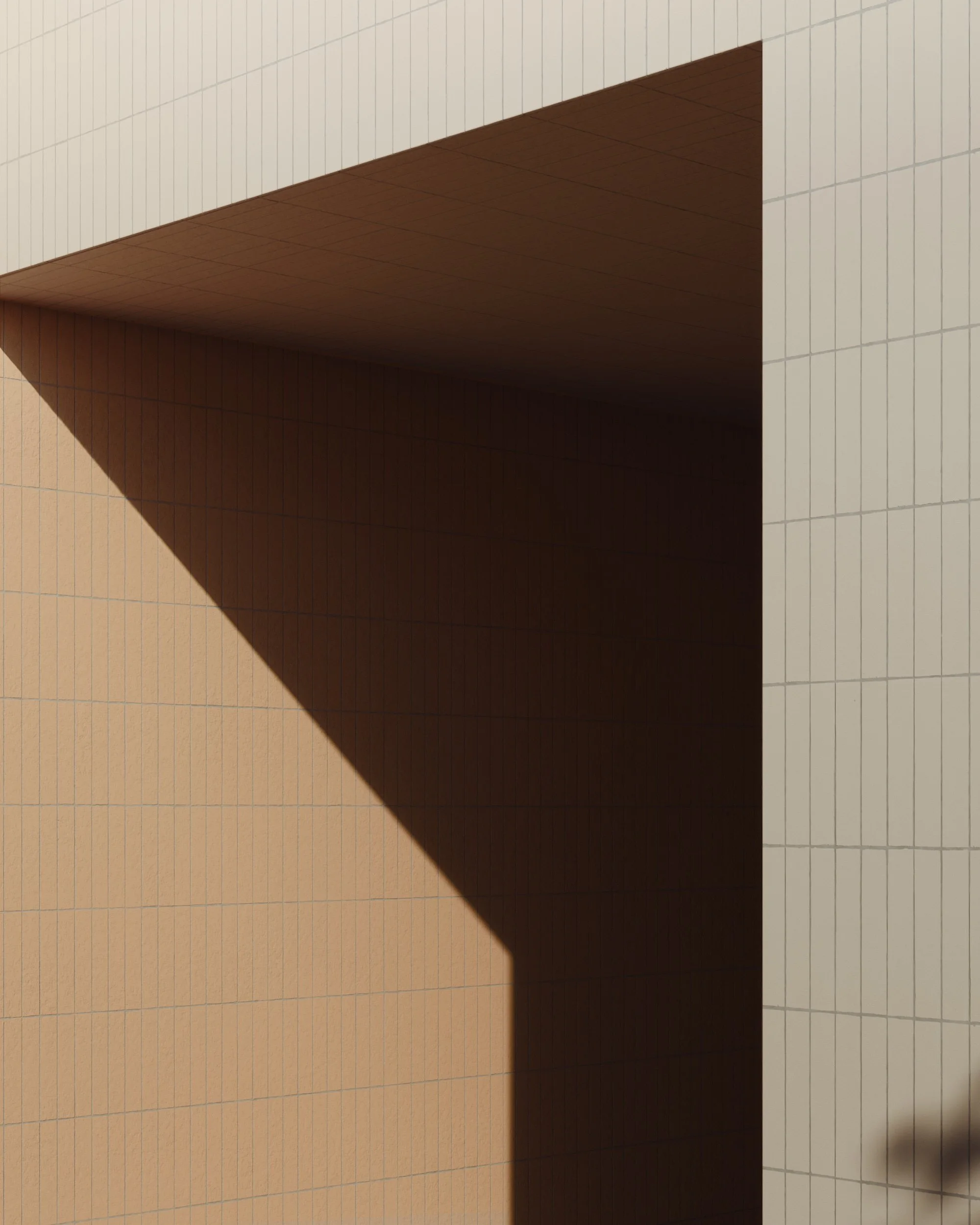 Terra by Ramacieri Soligo