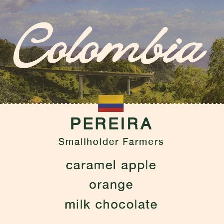 PitchPineCoffee-Colombia-Pereira.jpg