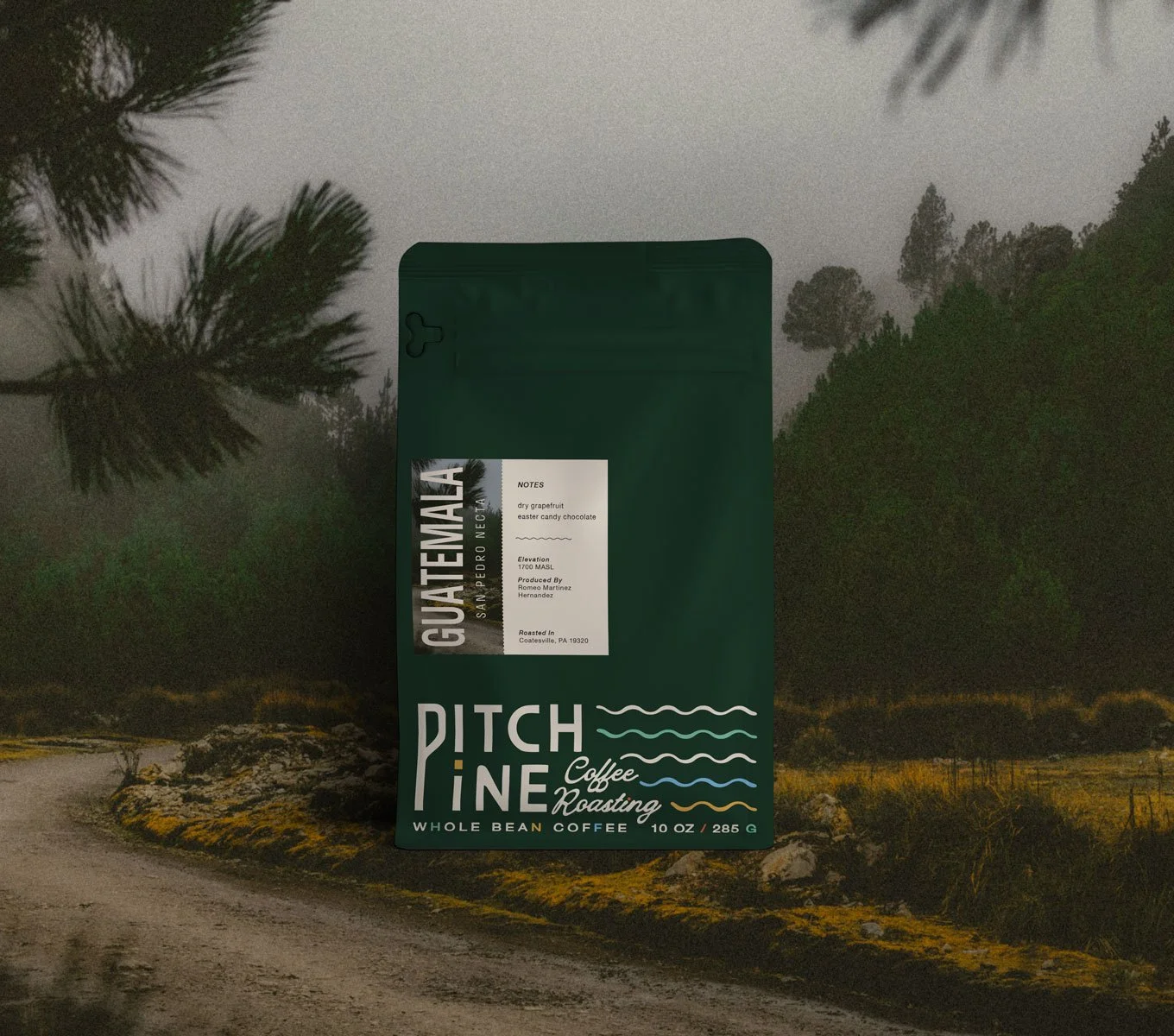 PitchPineCoffee-Guatemala-SanPedroNecta-Bag.jpg