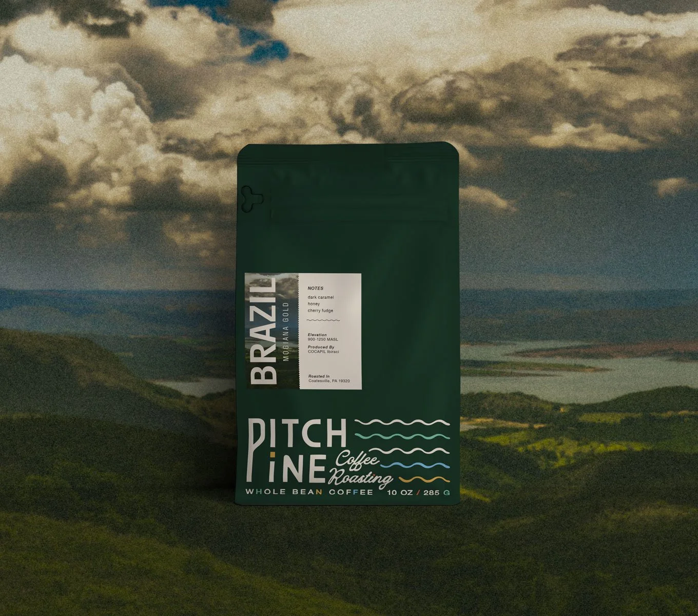 PitchPineCoffee-Brazil-MogianaGold-Bag.jpg