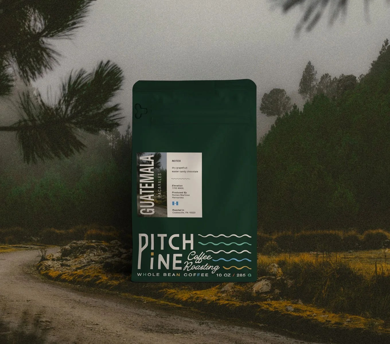 PitchPineCoffee-Guatemala-Pacayeles-Bag.jpg