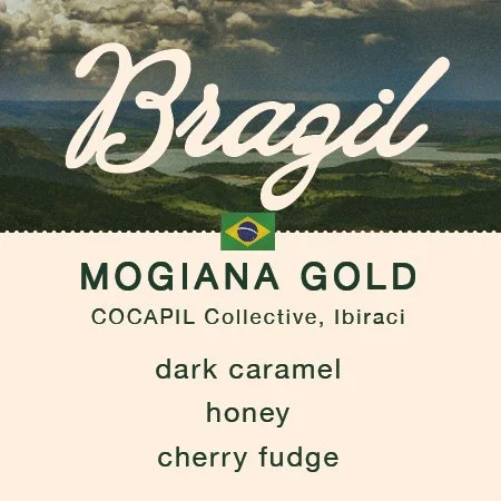 PitchPineCoffee-Brazil-MogianaGold.jpg